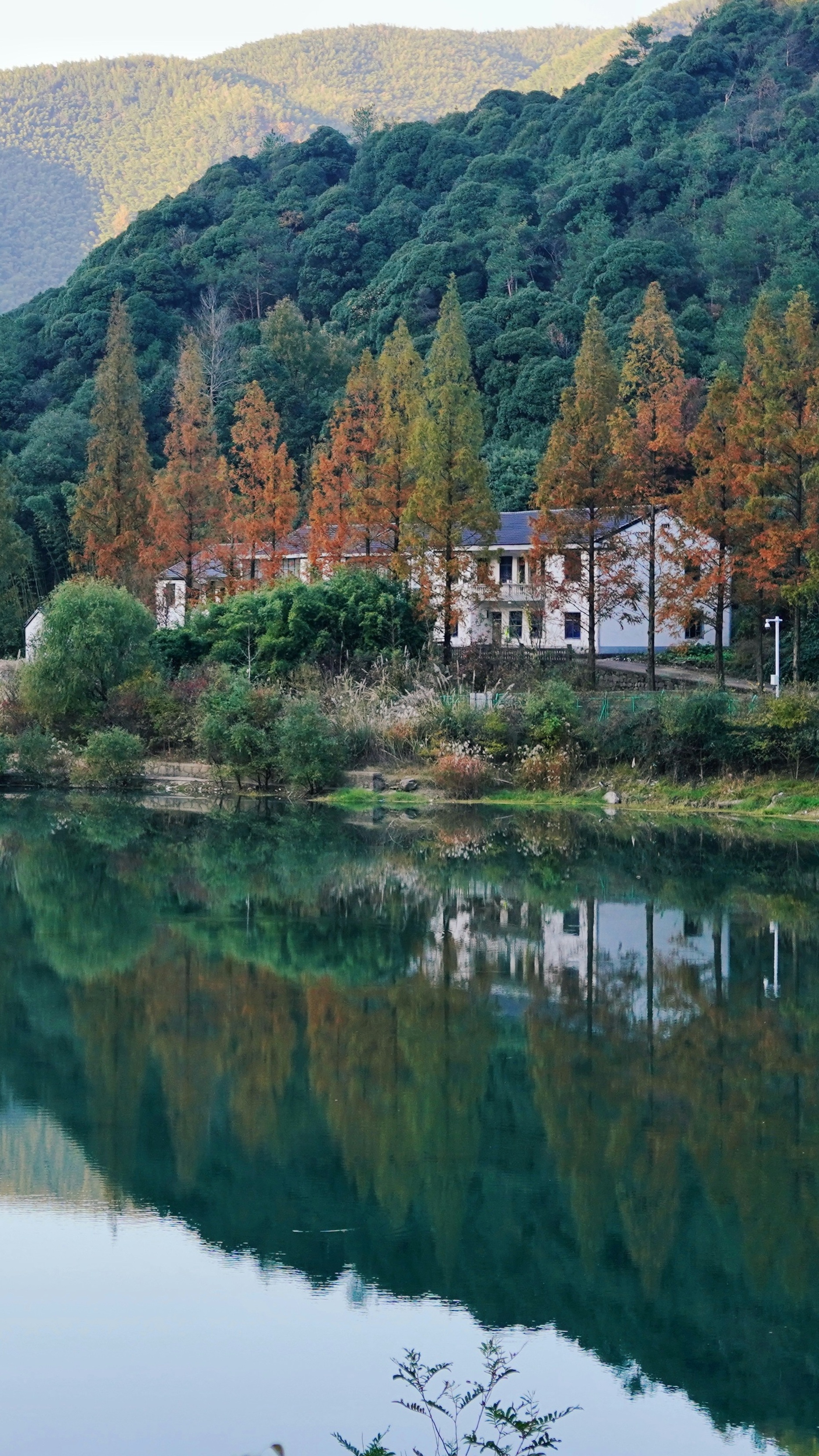 Landscapes