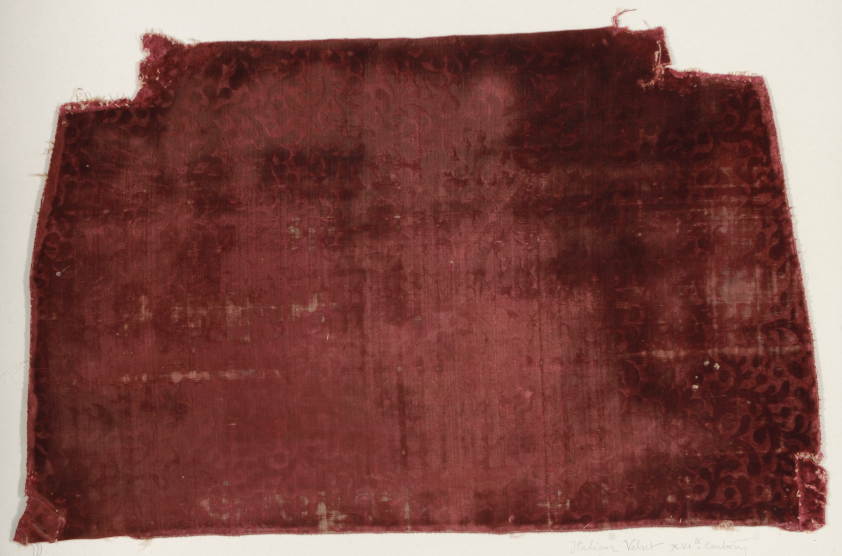 16th Century Italian Velvet Fragment