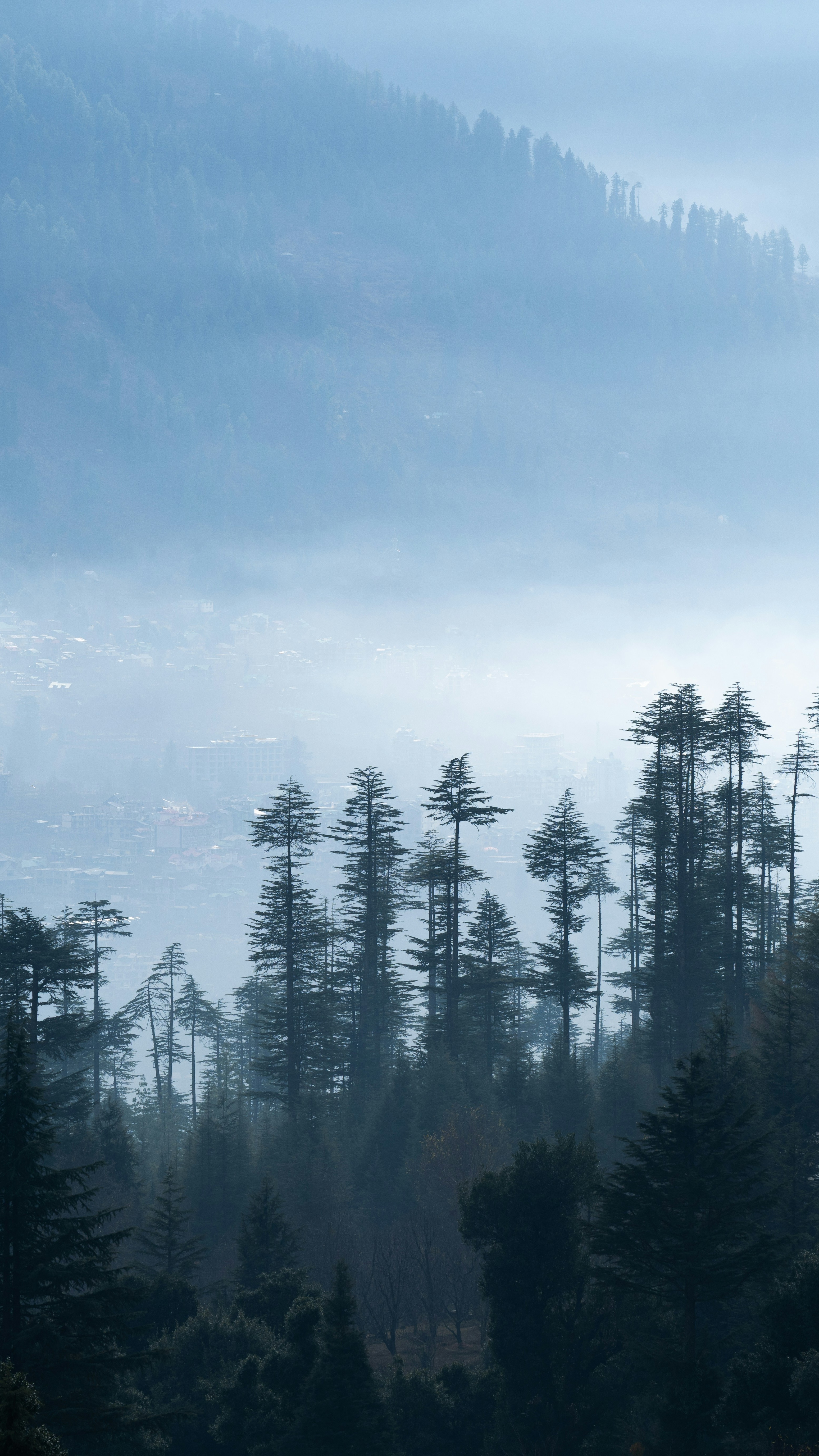Landscapes
