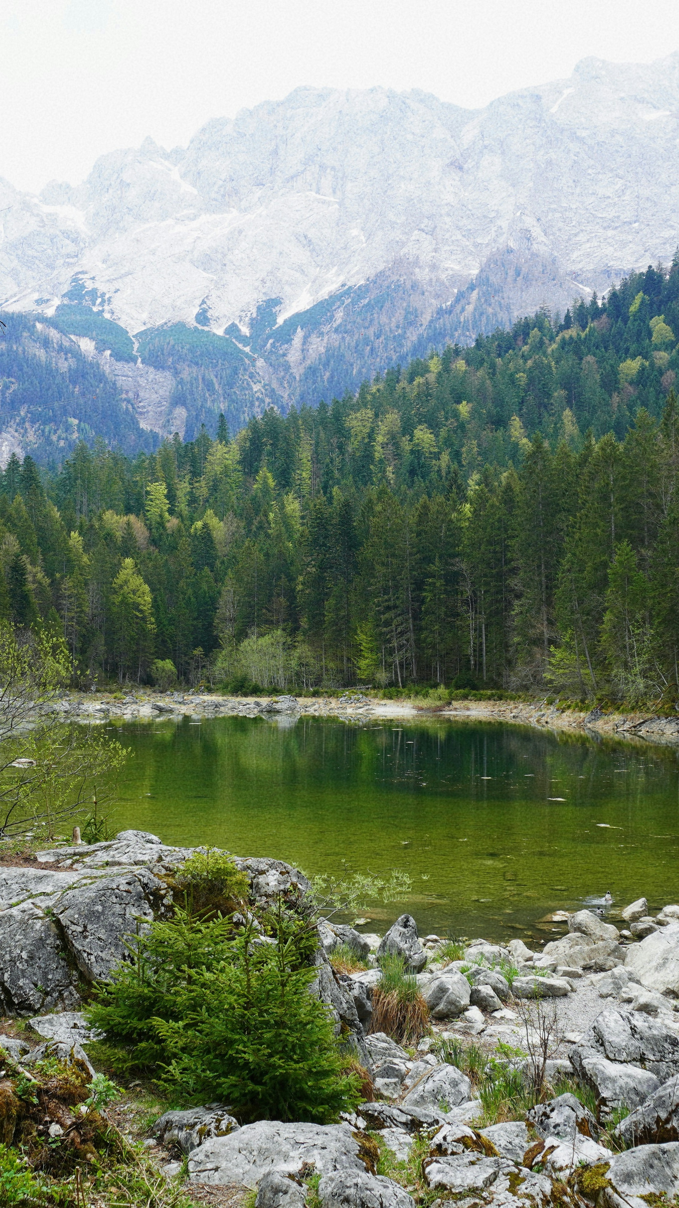Landscapes