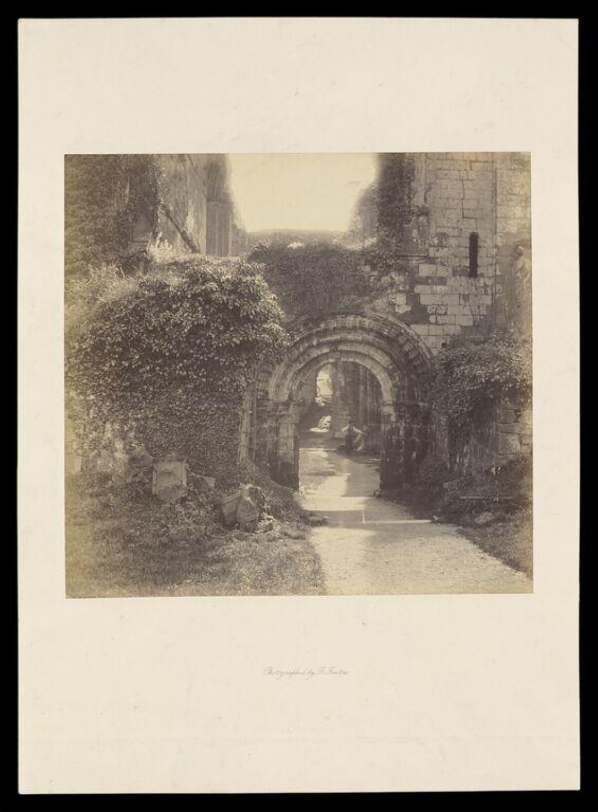 Overgrown Stone Arch Ruins