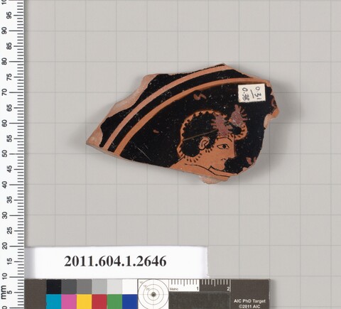 Ancient Painted Pottery Fragment