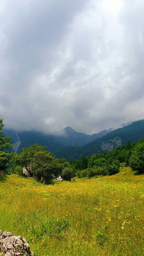 Cloudy Mountain Meadow Landscape