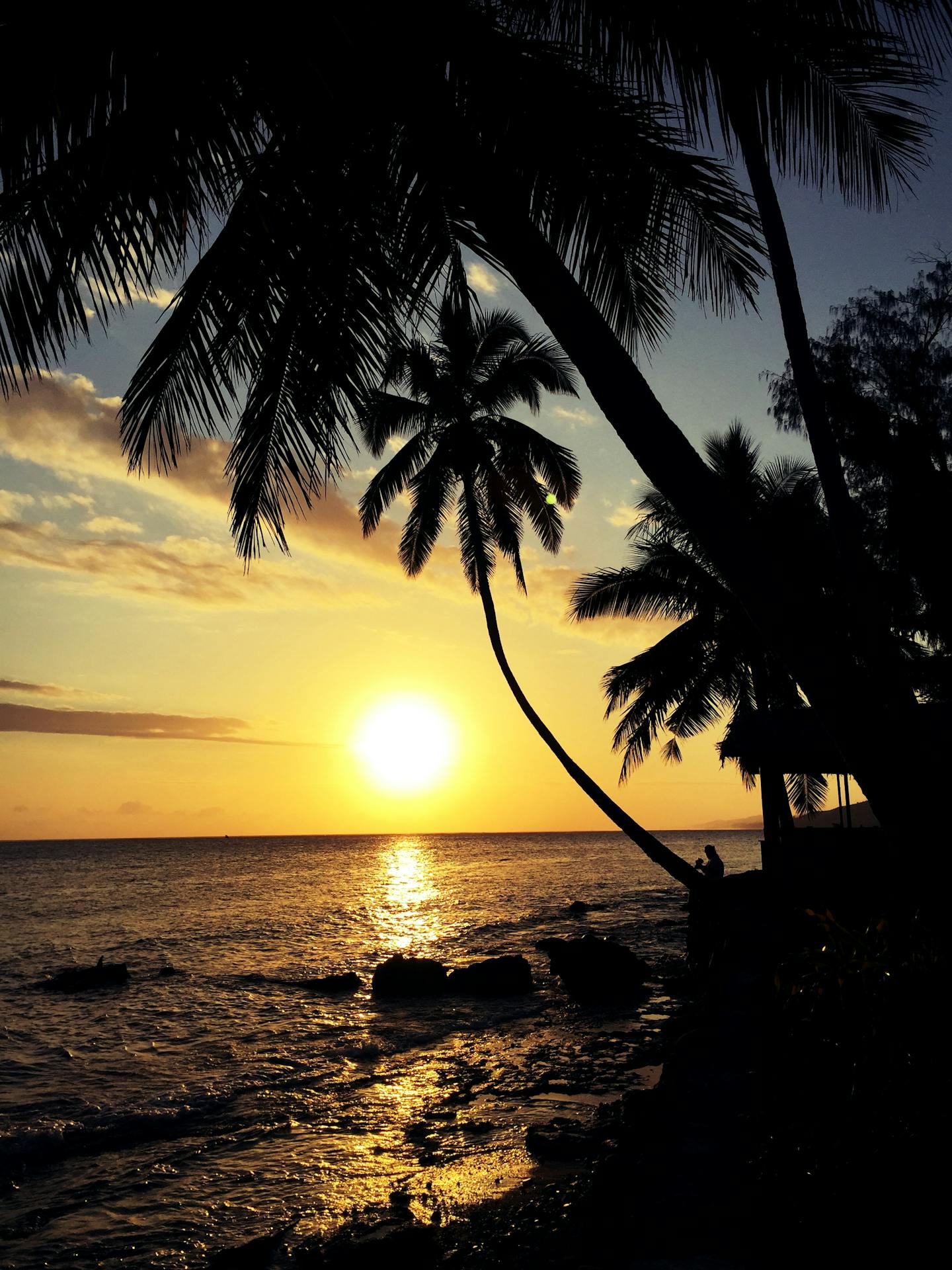 Tropical Ocean Sunset with Palm Trees