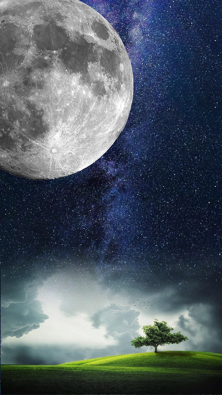 Wallpapers