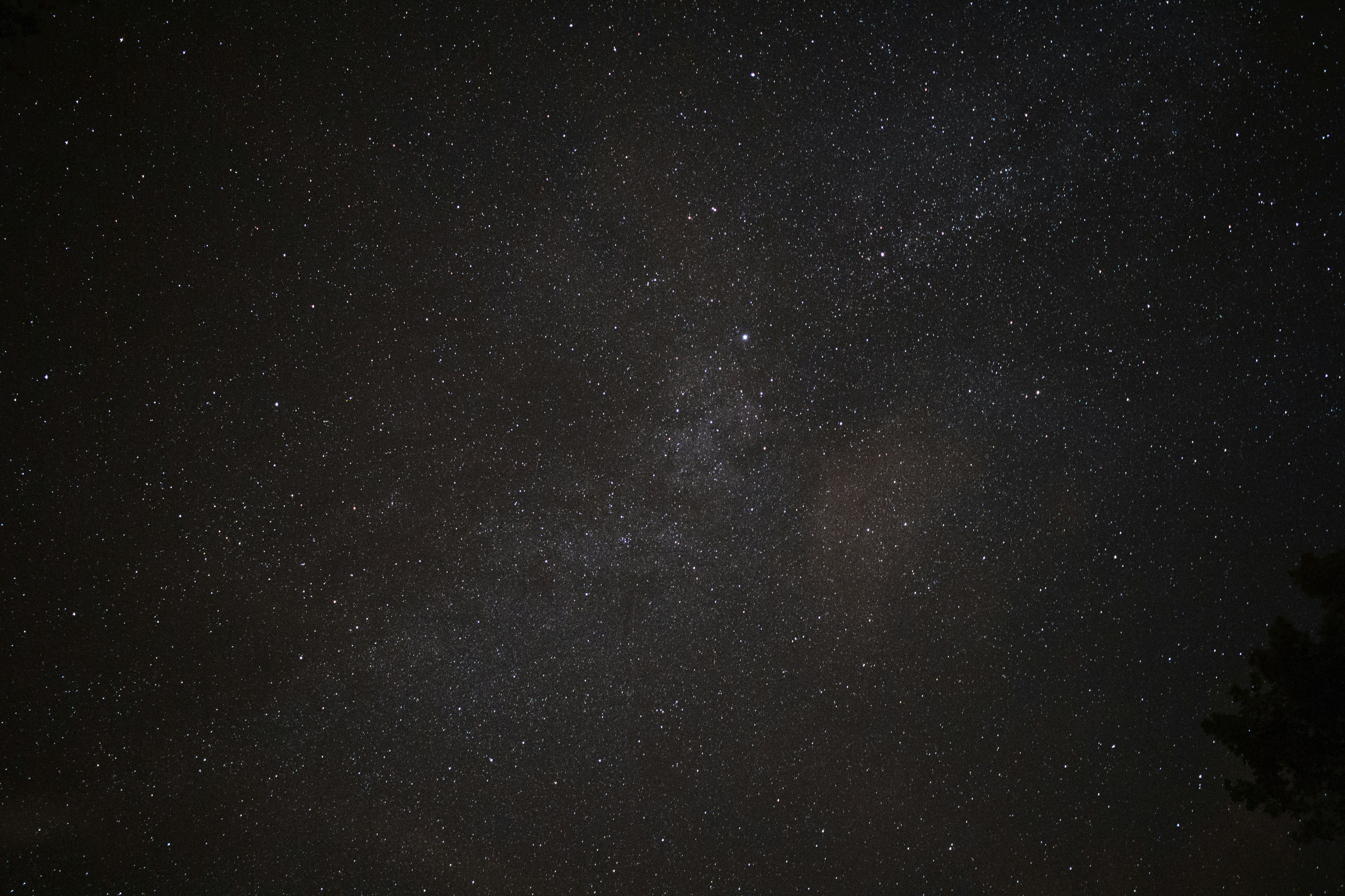 Starry Night Sky with Milky Way