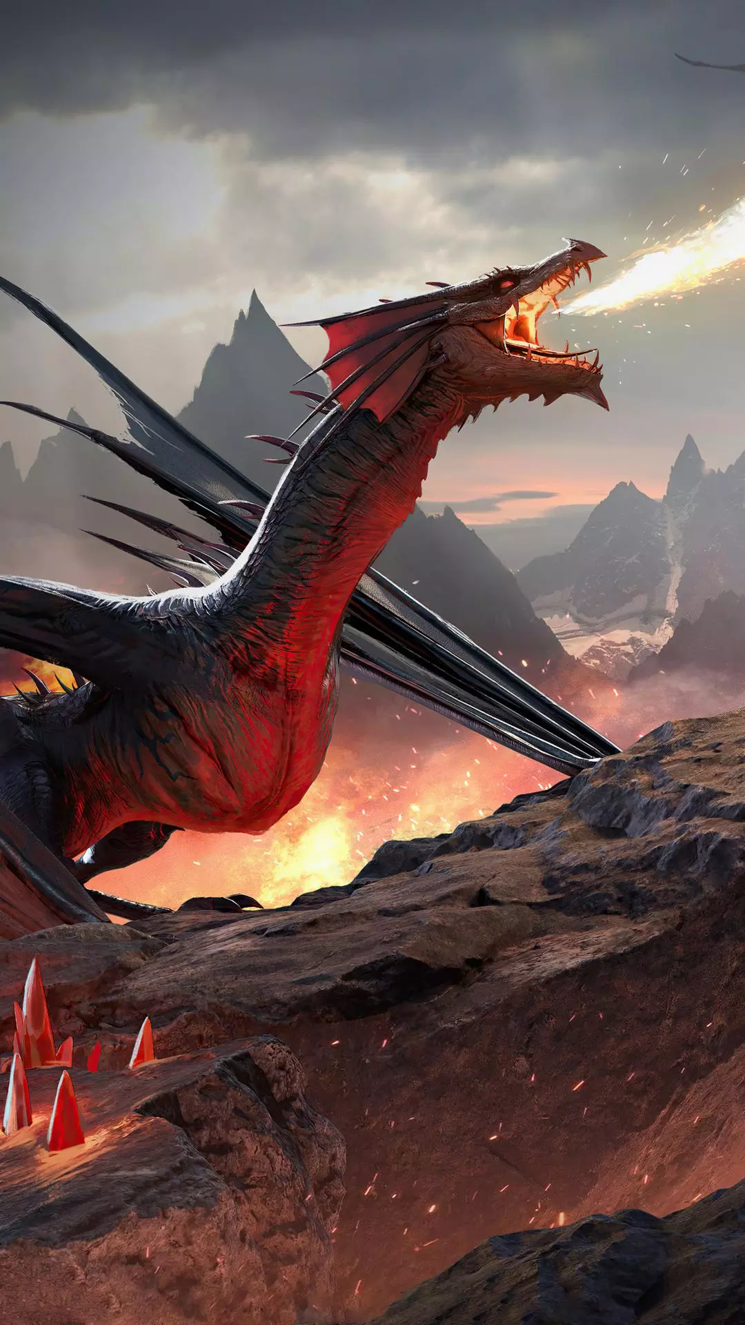 Wallpapers
