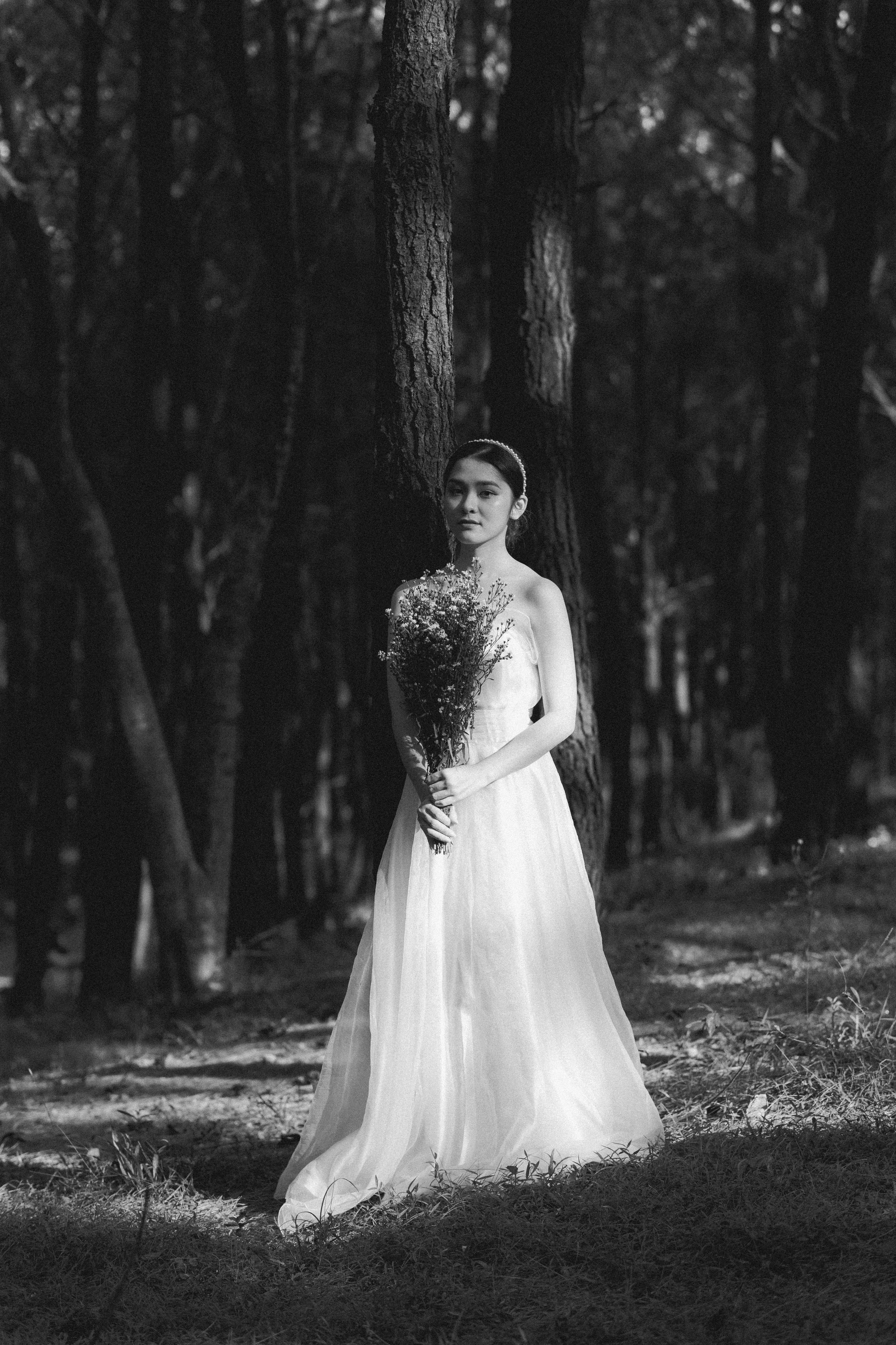 Forest & Flora