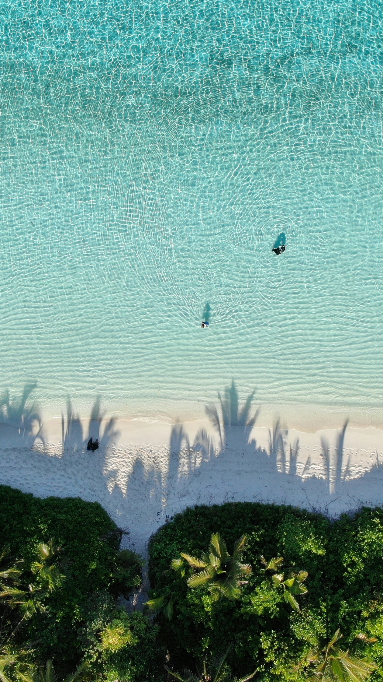 Wallpapers