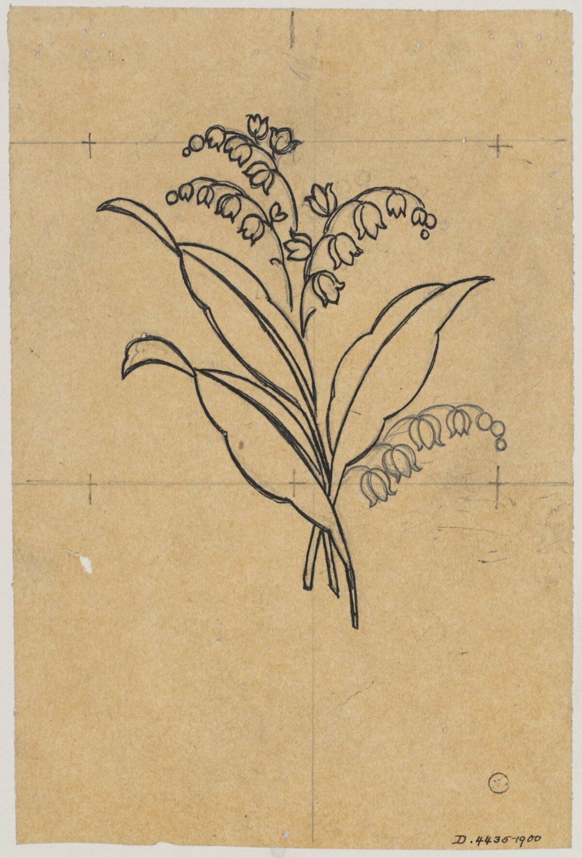 Line Drawing of Lily of the Valley
