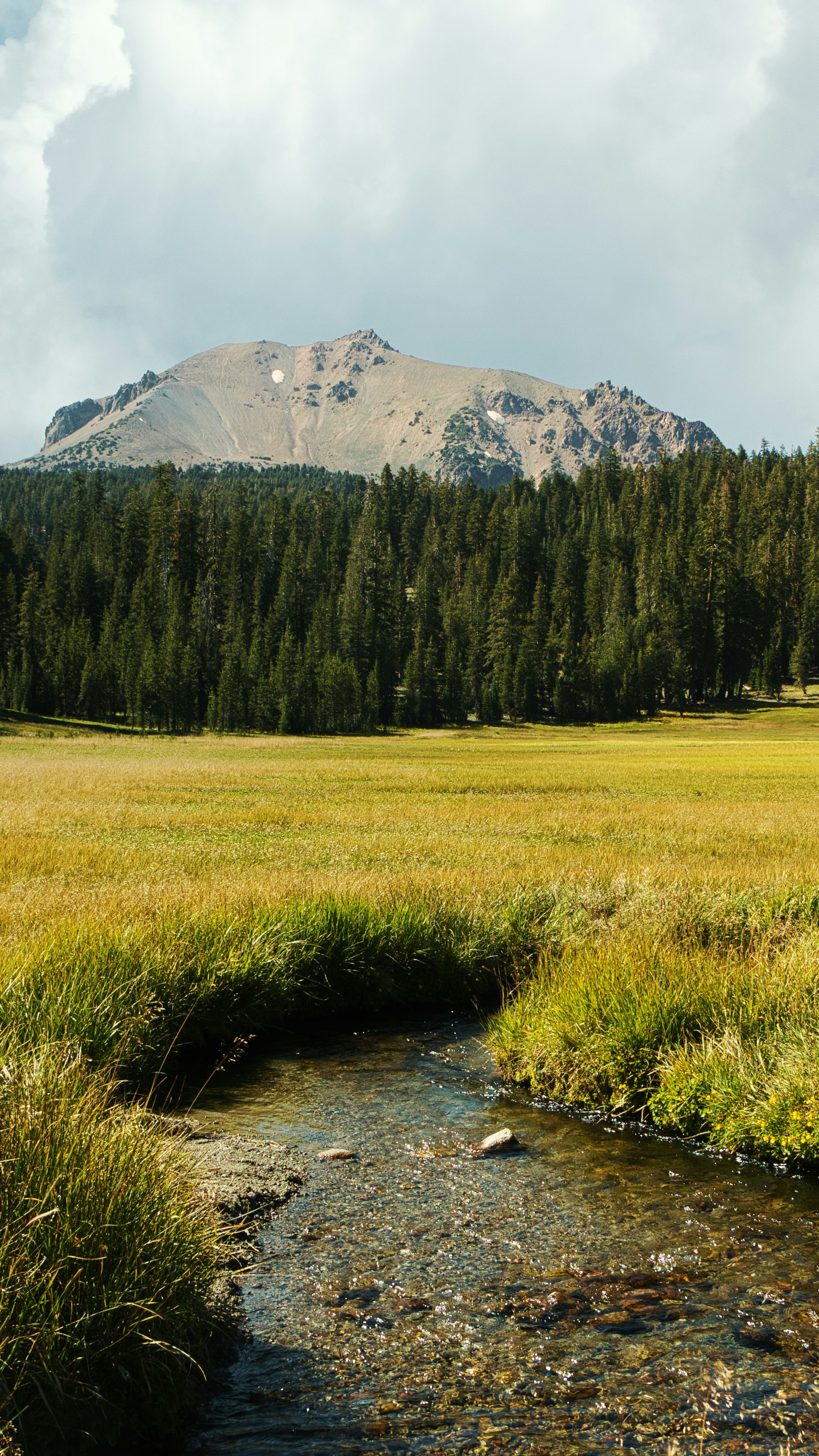 Mountain Meadow Stream Landscape