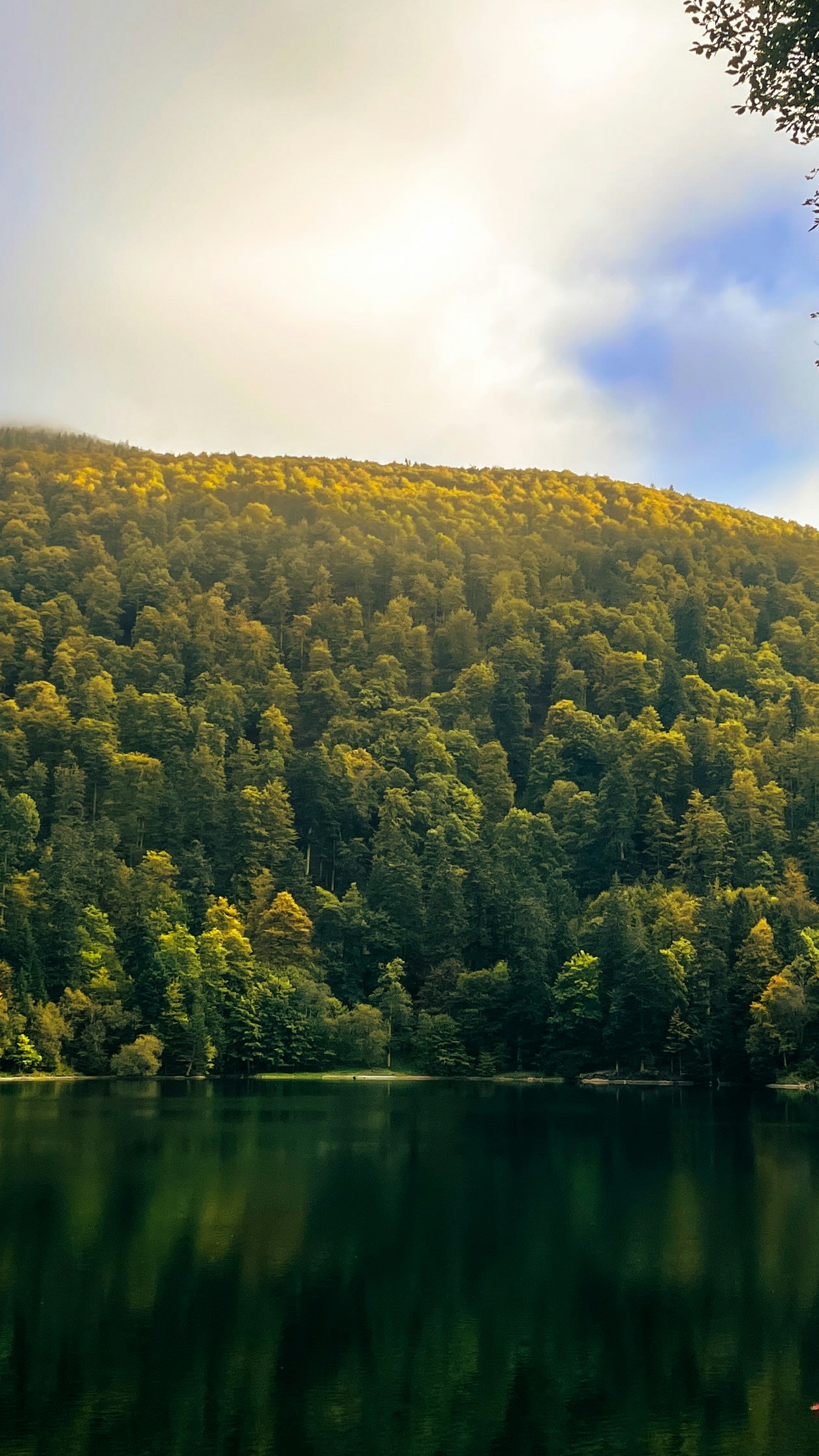 Forested Hill By Calm Lake