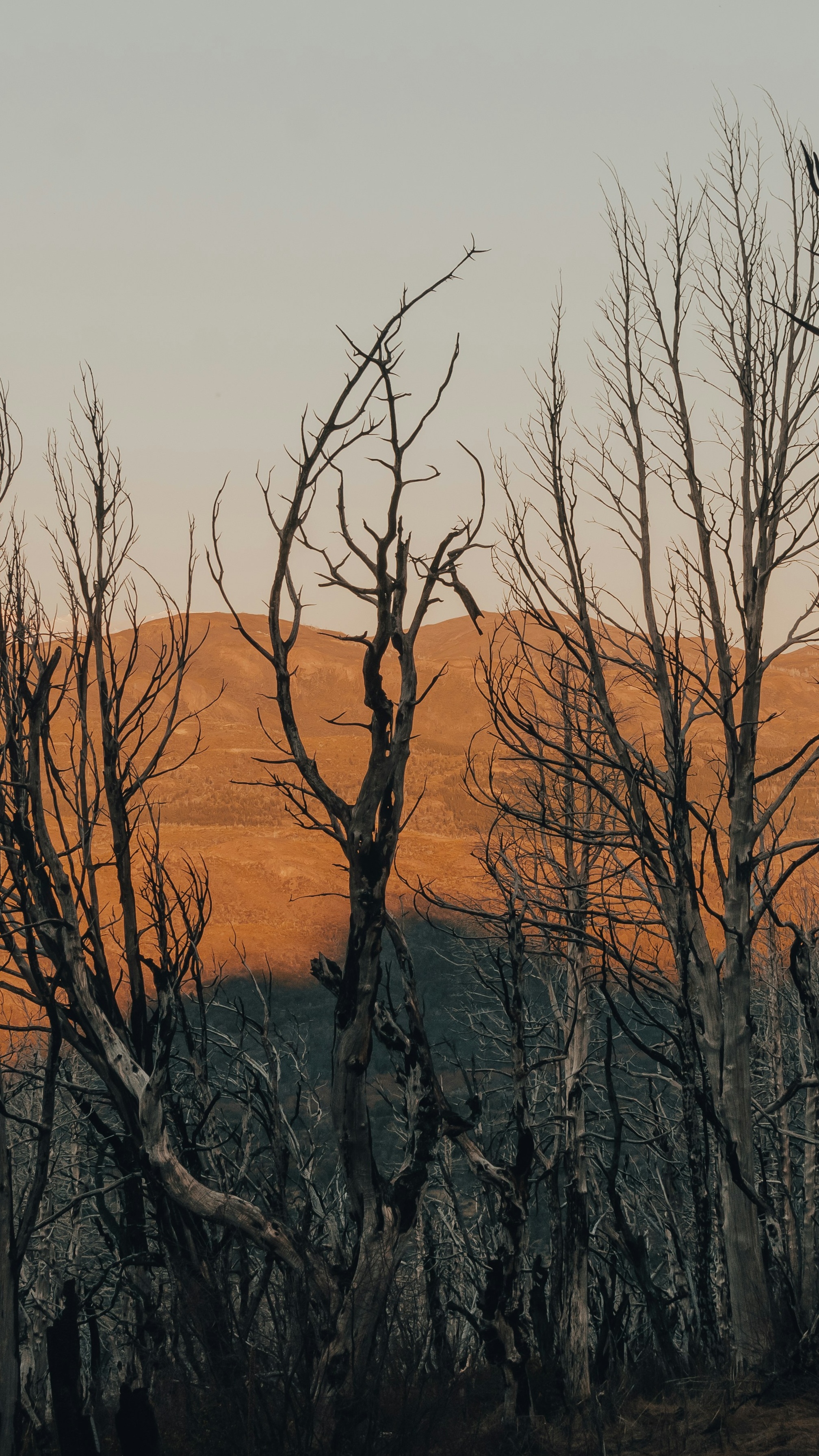 Landscapes