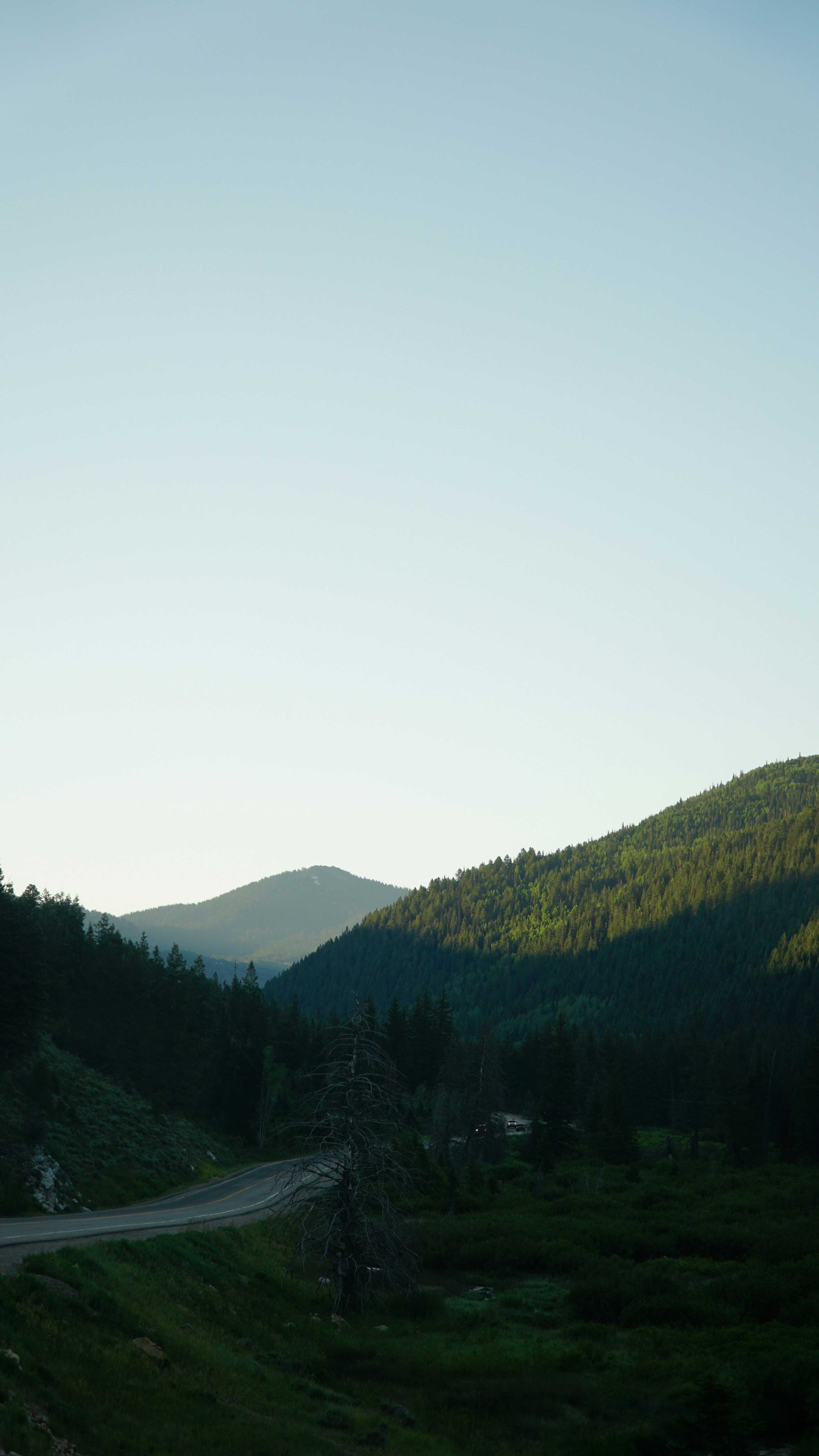 Road Through Forested Mountain Valley