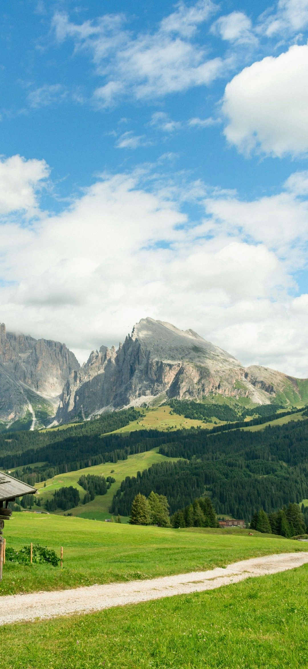Alpine Mountain Meadow Landscape