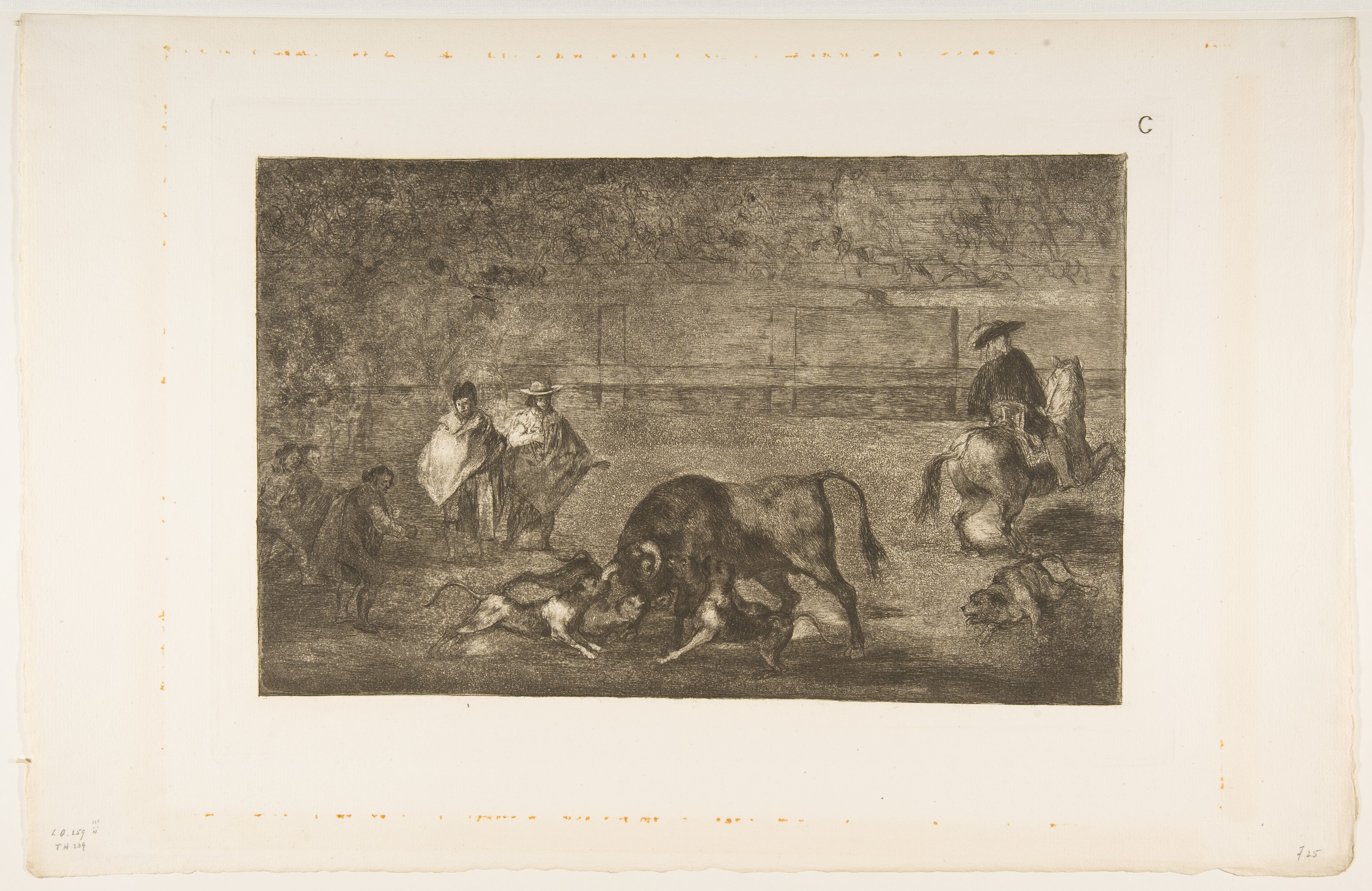 Etching of Bull Baiting Scene
