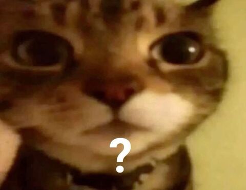 Confused Cat With Question Mark