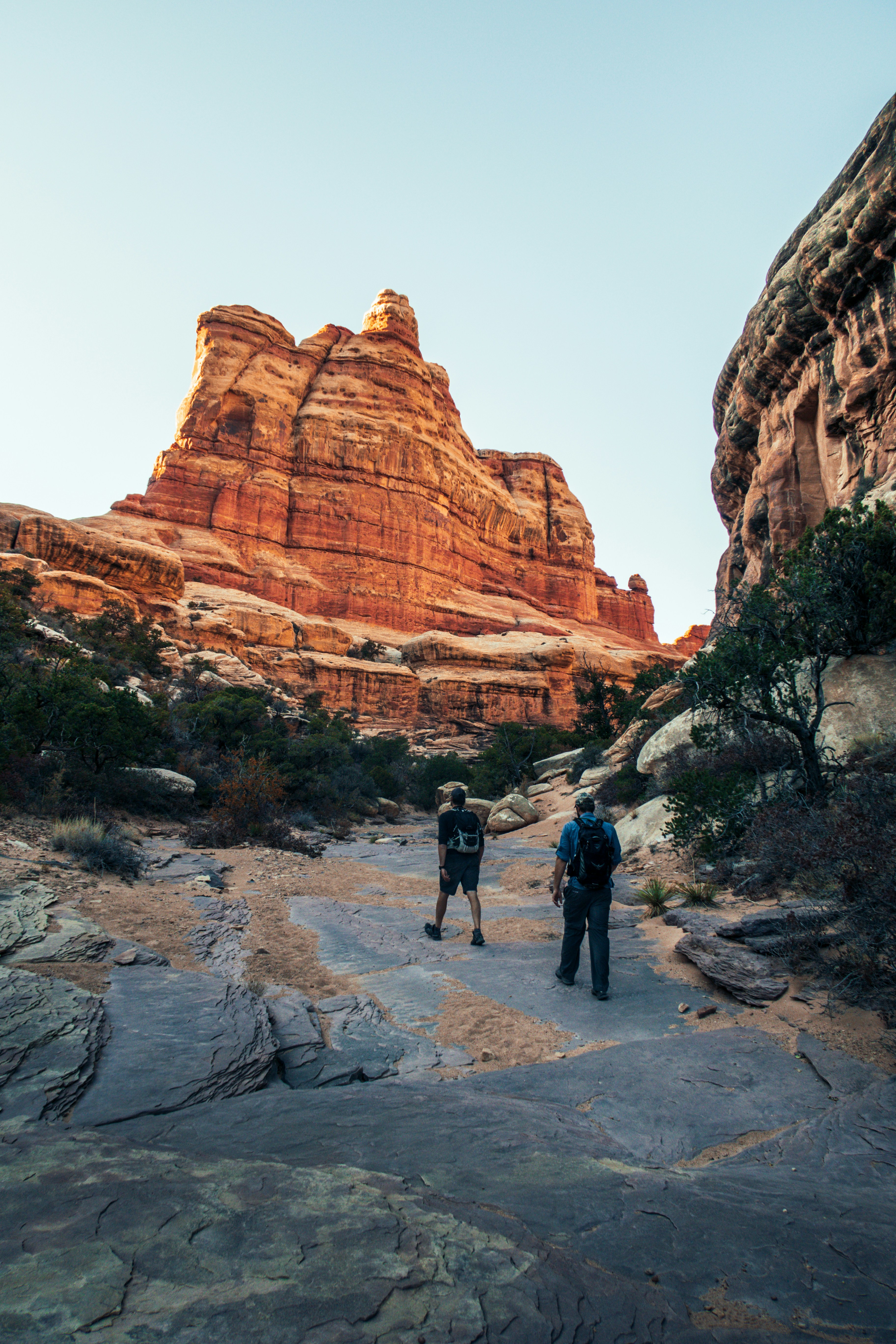 Two Hikers Trekking in Red Rock Canyon