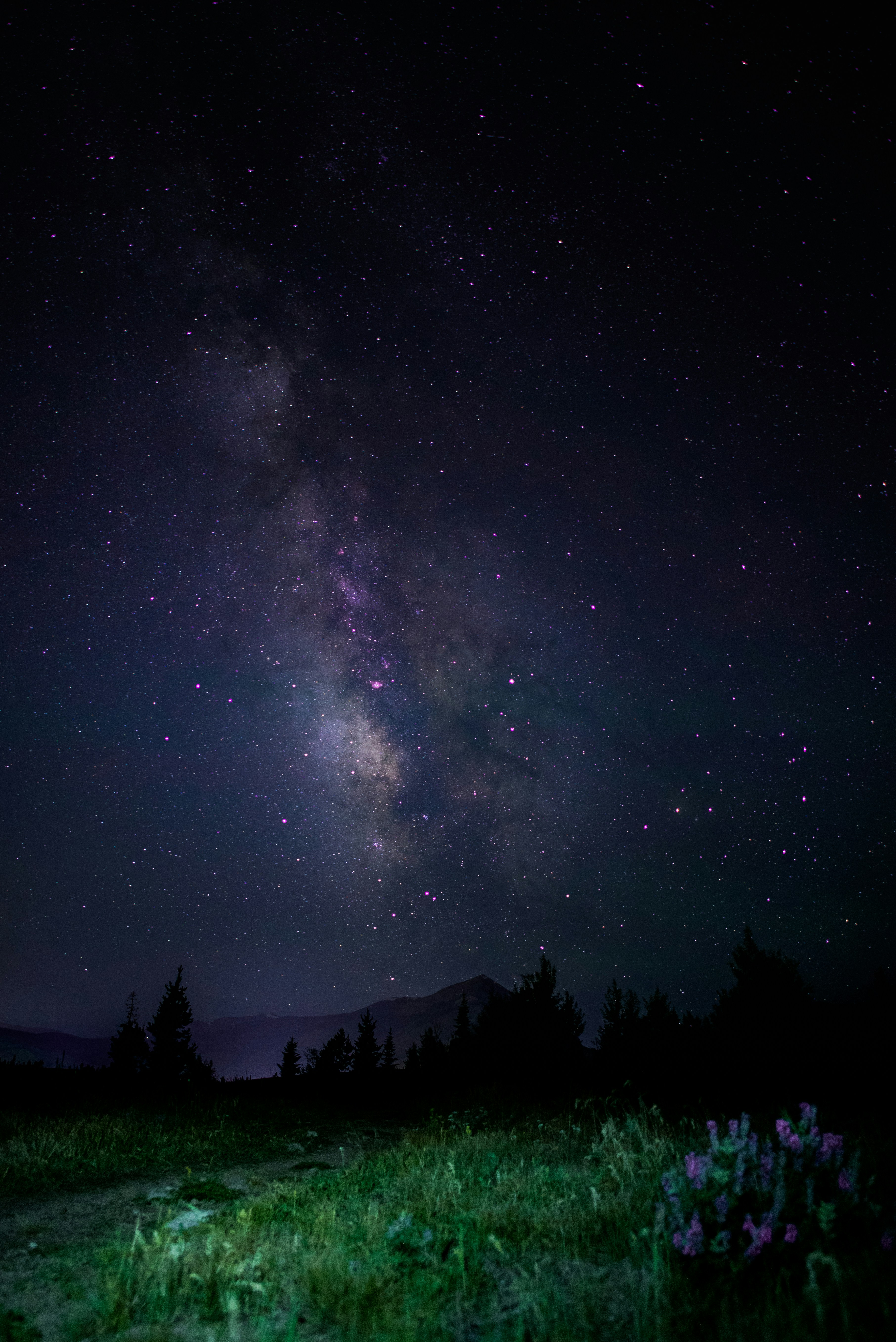 Night Milky Way Over Grassland