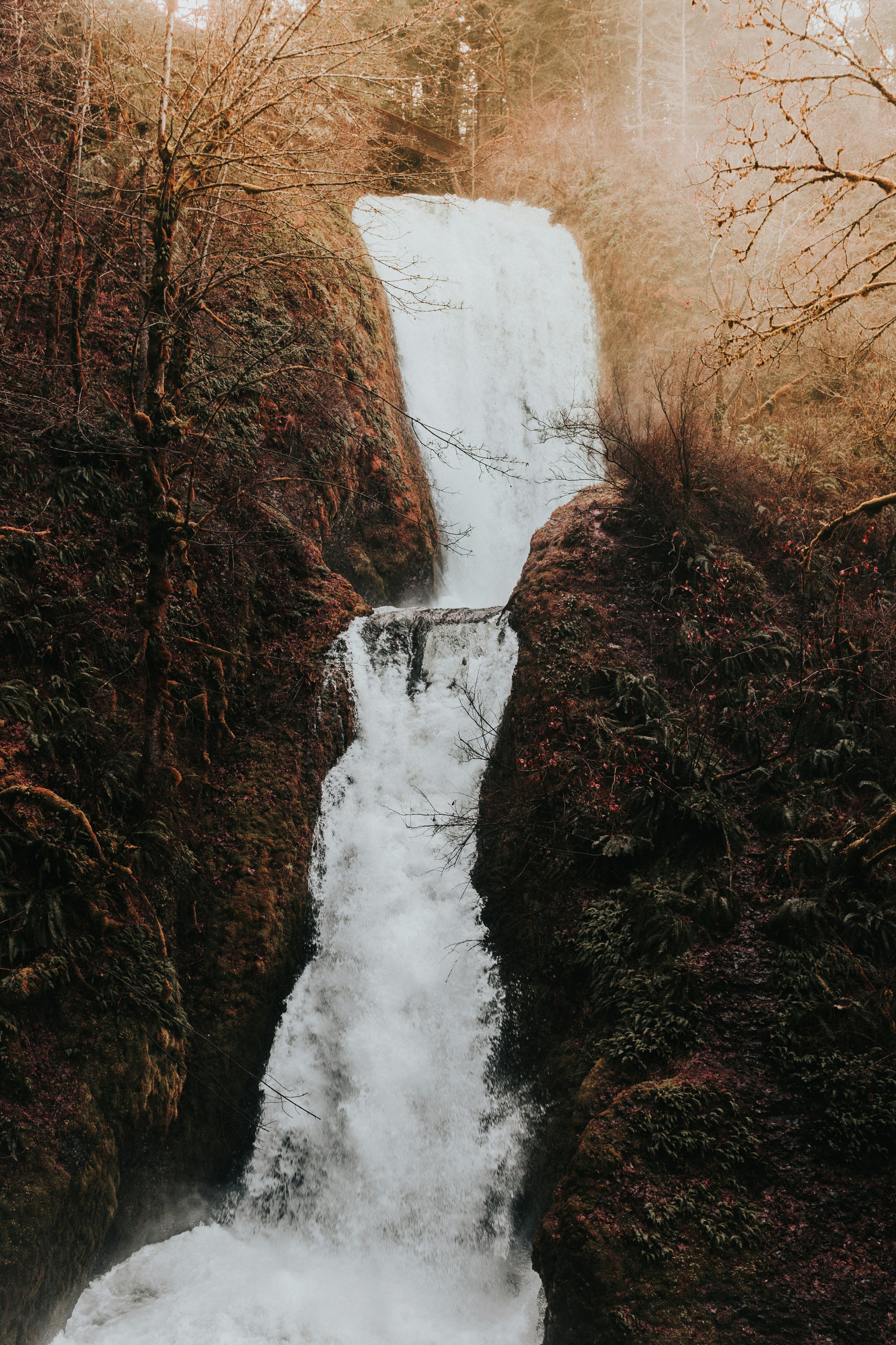 Two-stage Waterfall in Forest