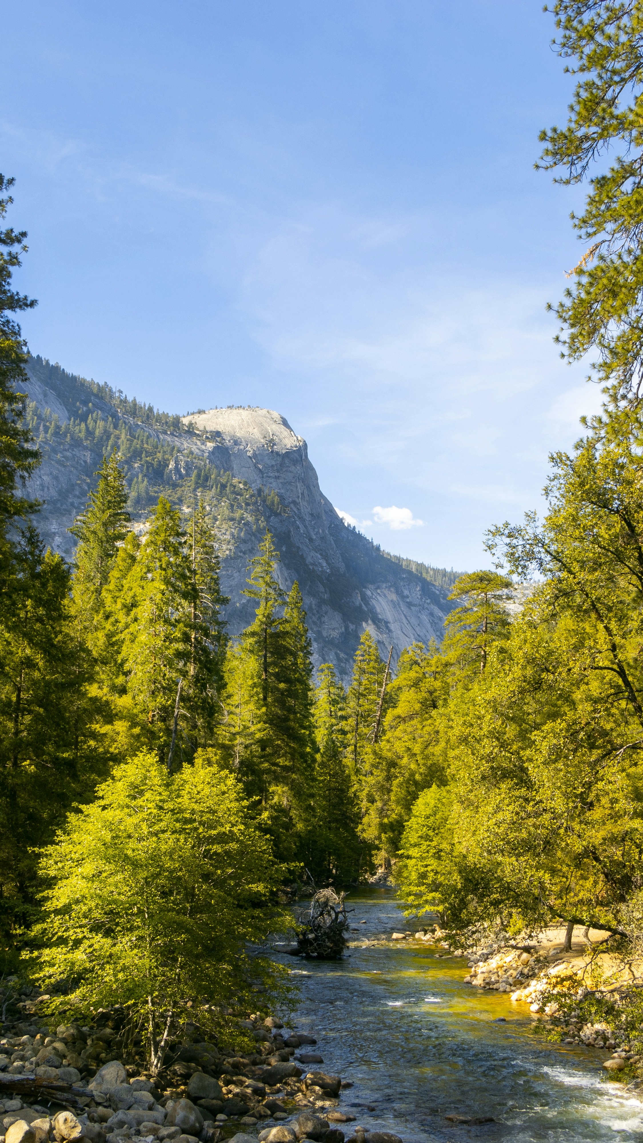 Mountain River Valley Forest Landscape