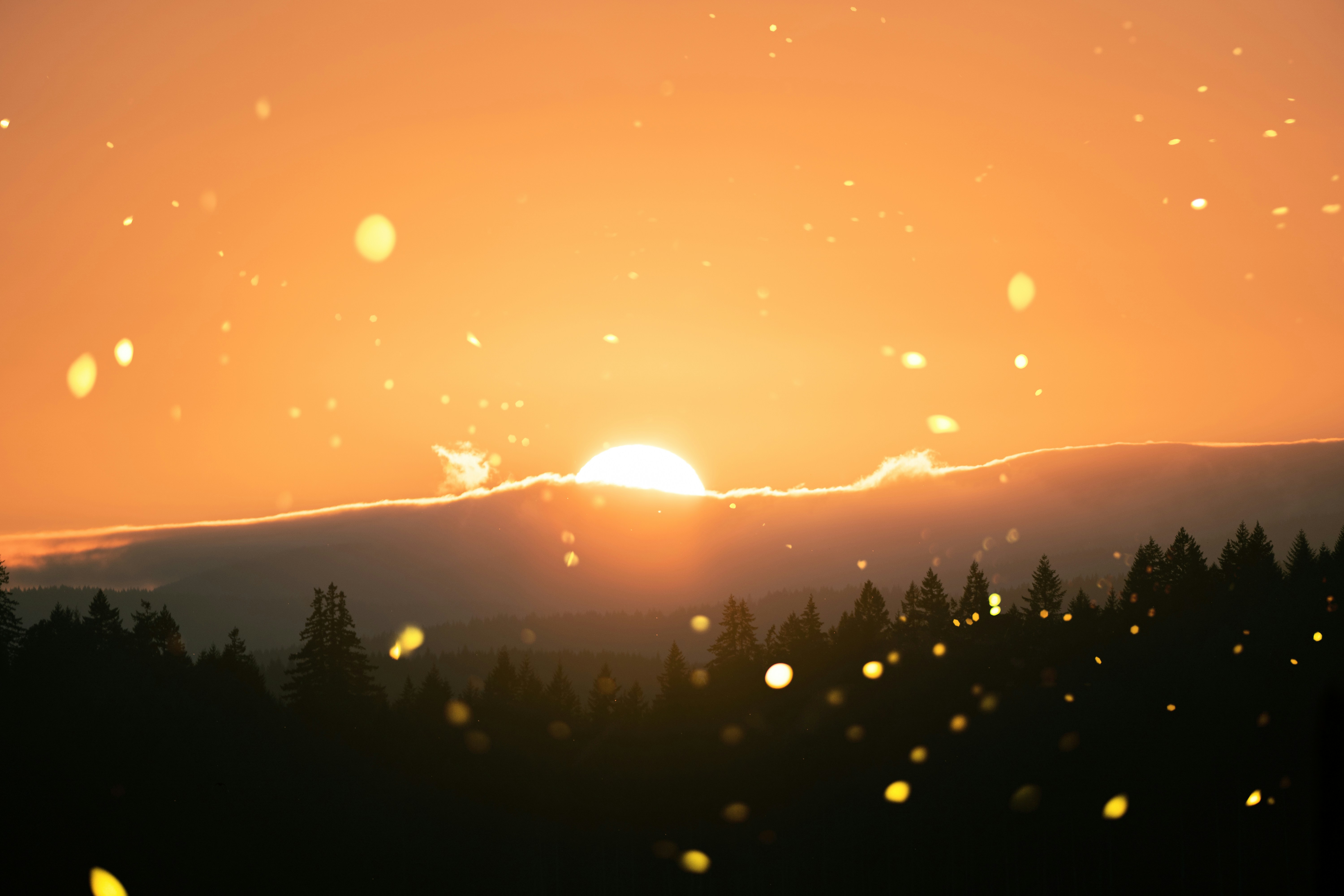 Sunset Over Forested Mountains