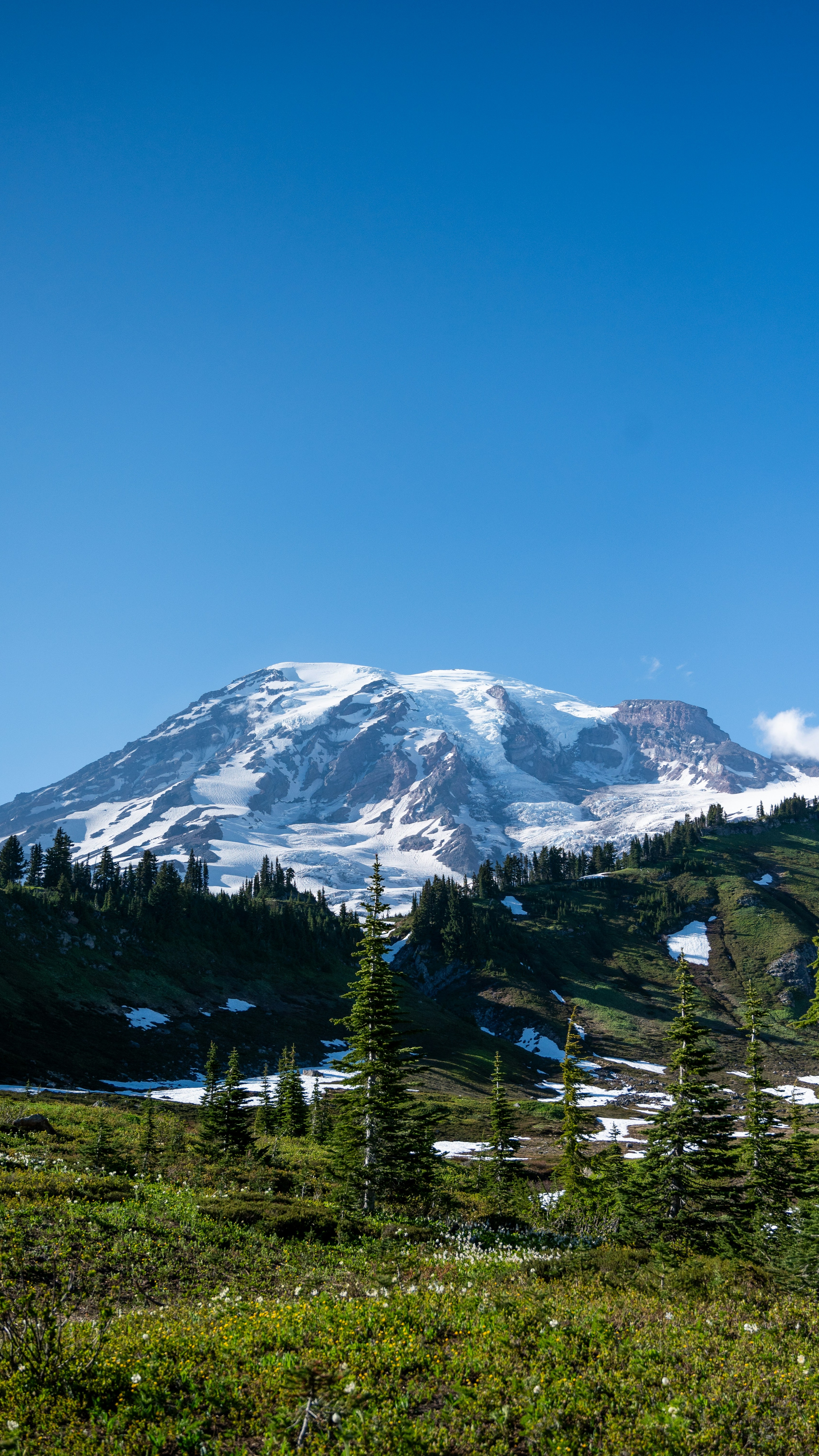 Snow-Capped Mount Rainier Alpine View