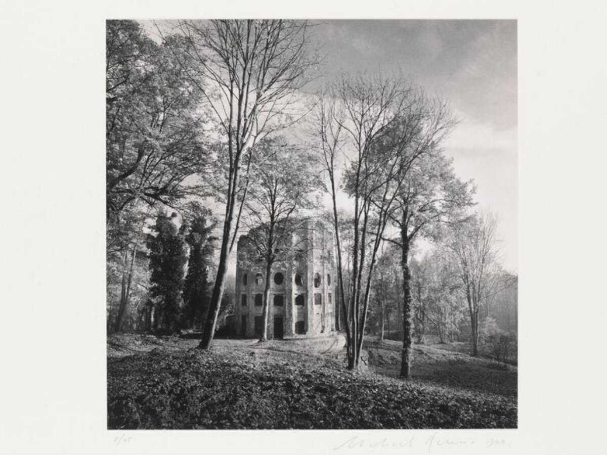Abandoned Ruin in Woodland