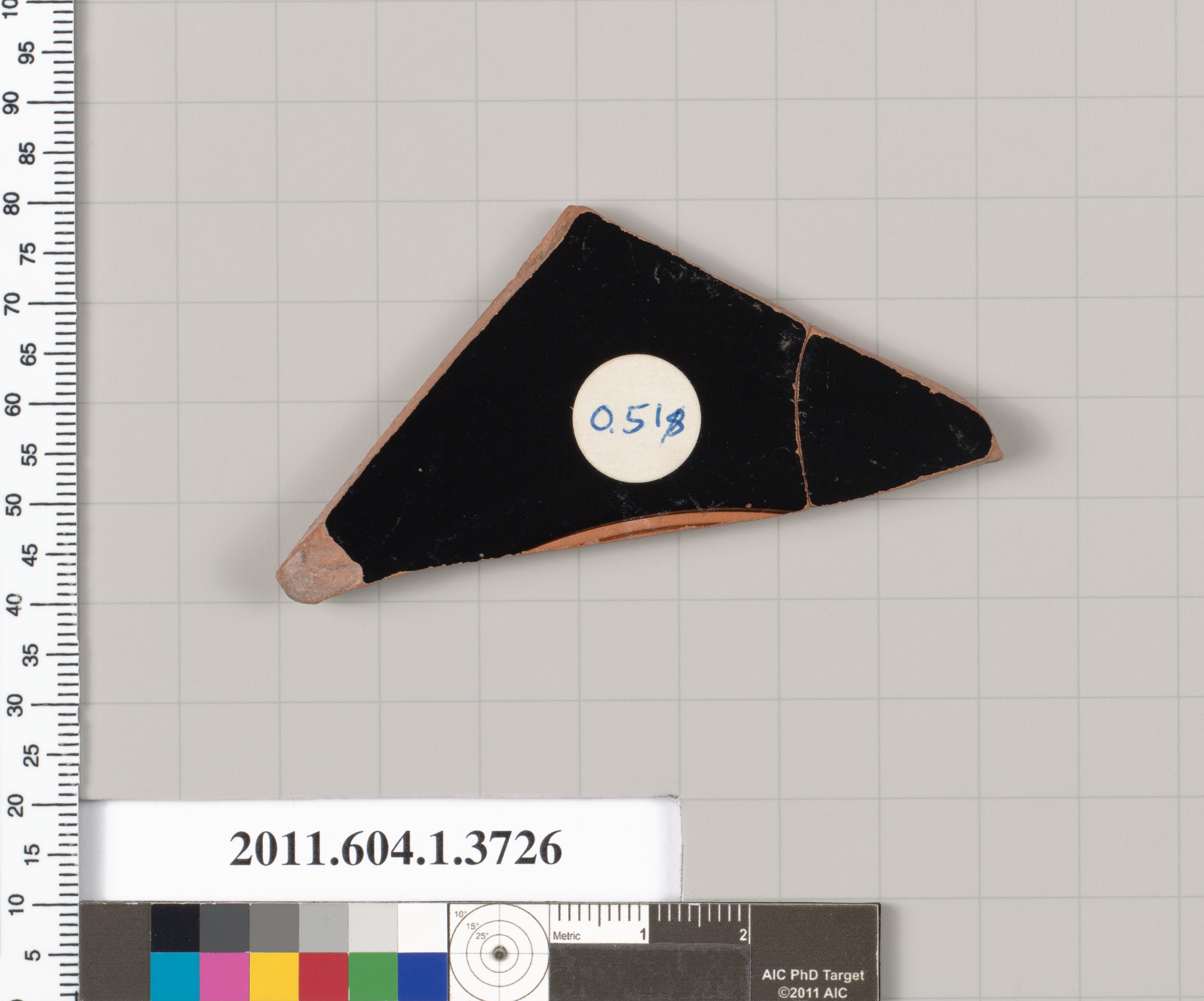 Museum Cataloged Pottery Shard