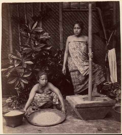 Two Women Processing Rice