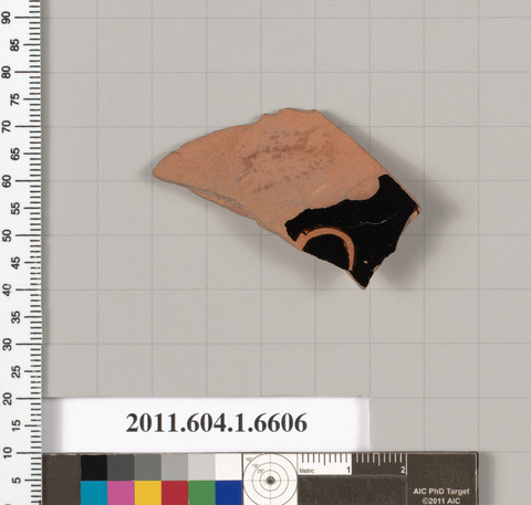 Ancient Pottery Fragment Specimen