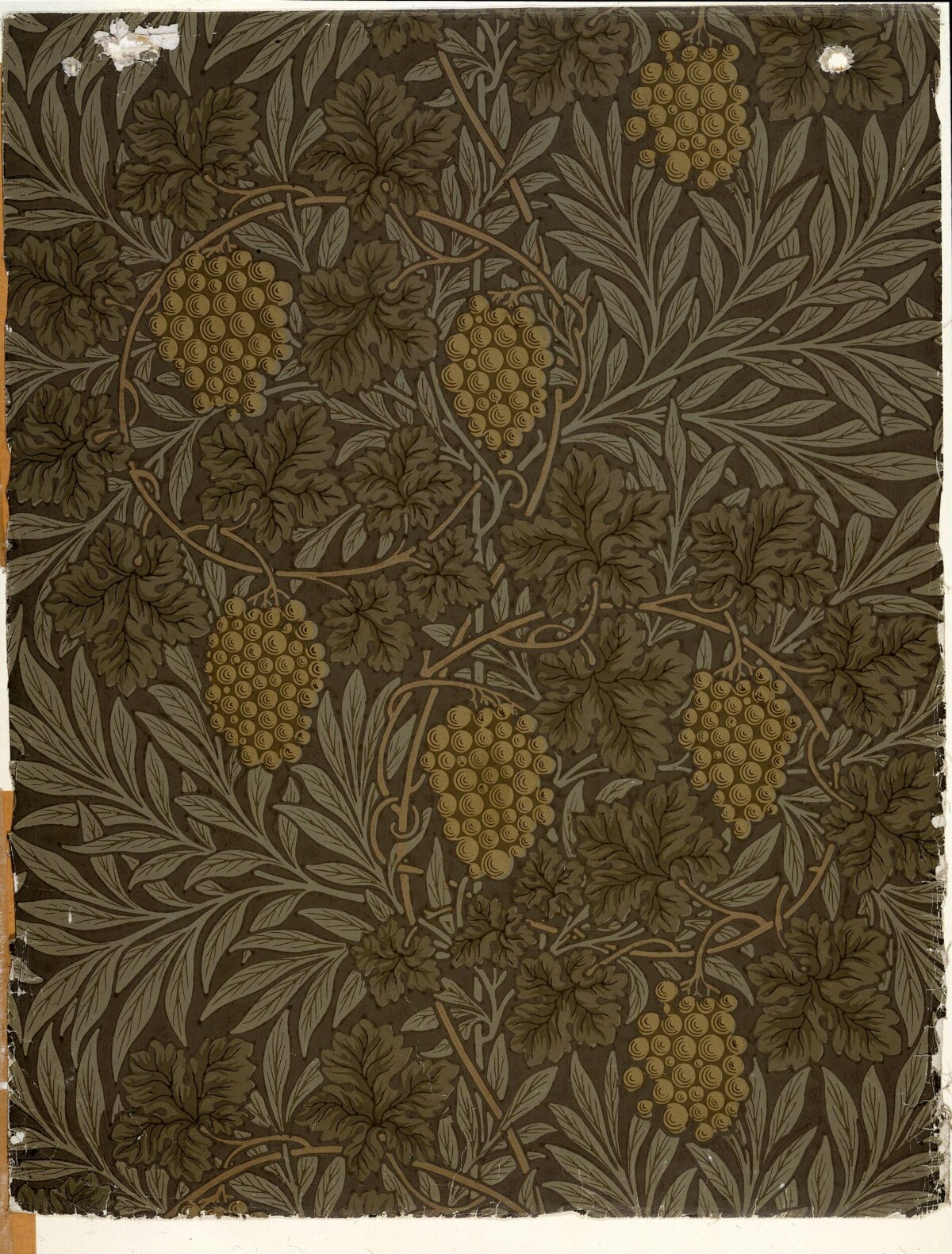 Vintage Grape Vine Pattern