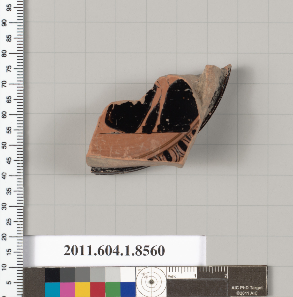 Ancient Pottery Fragment Specimen