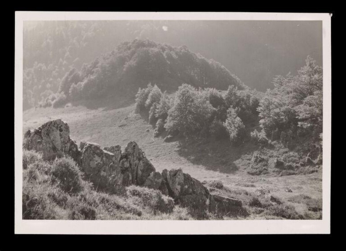 Black and White Mountain Hillside Landscape