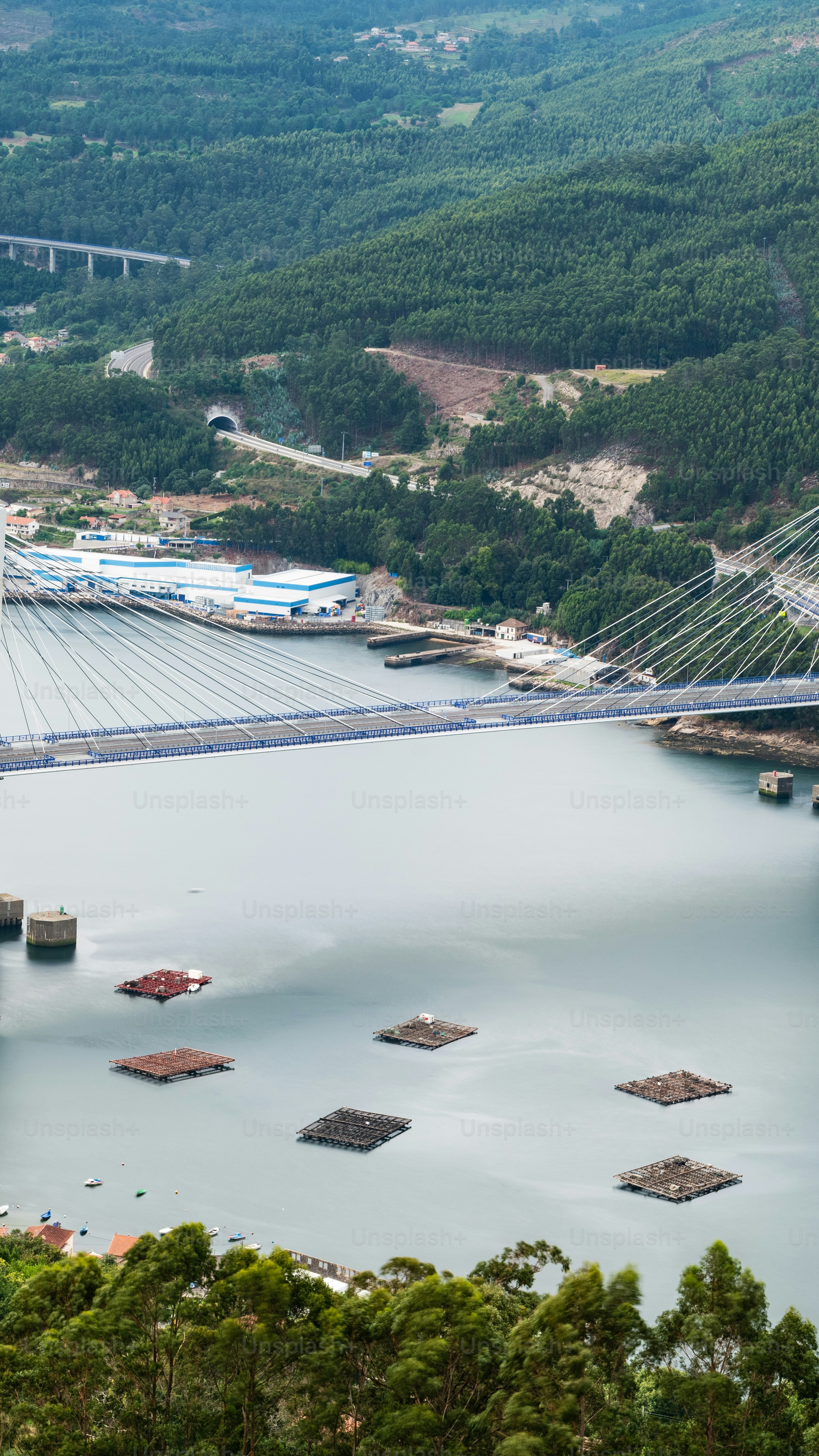 Cable-stayed Bridge Over Estuary with Aquaculture Rafts