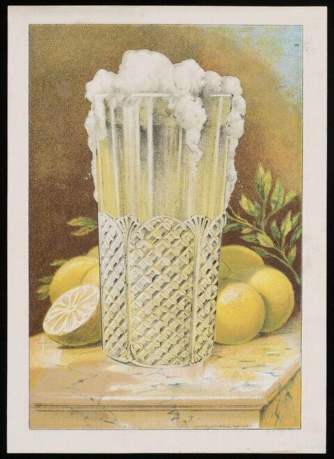 Frothy Lemon Drink Still Life Illustration