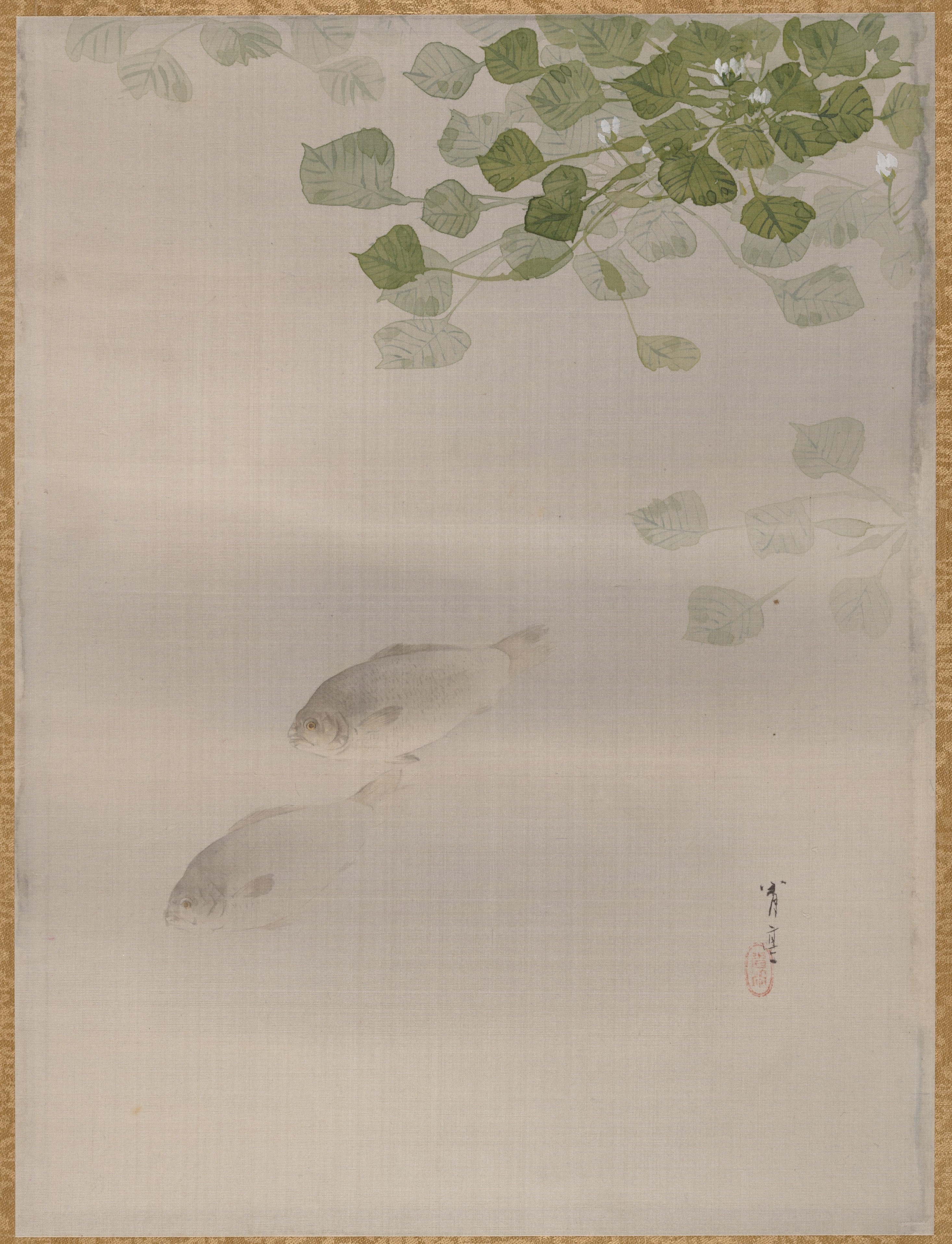 Two Fish Swimming In Water