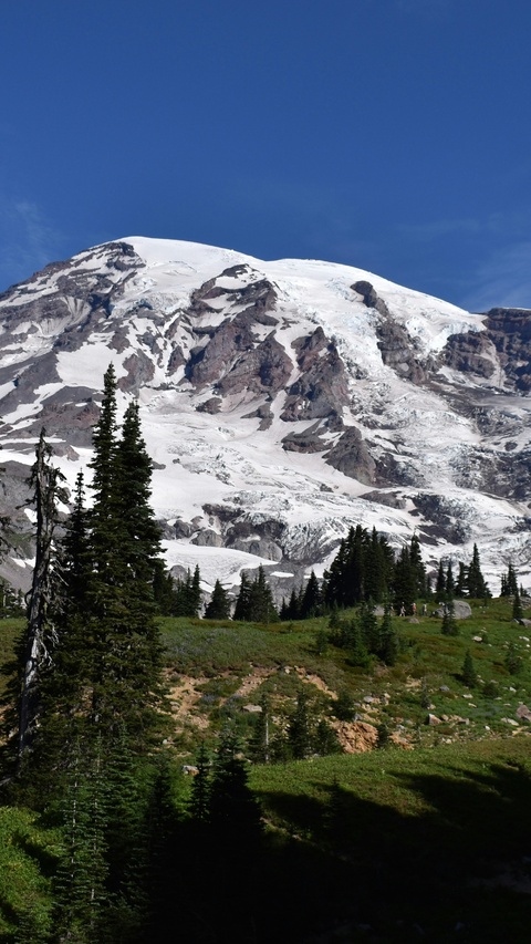 Snow-capped Mount Rainier Landscape