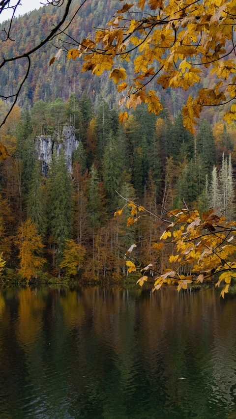 Autumn Mountain Lake Landscape