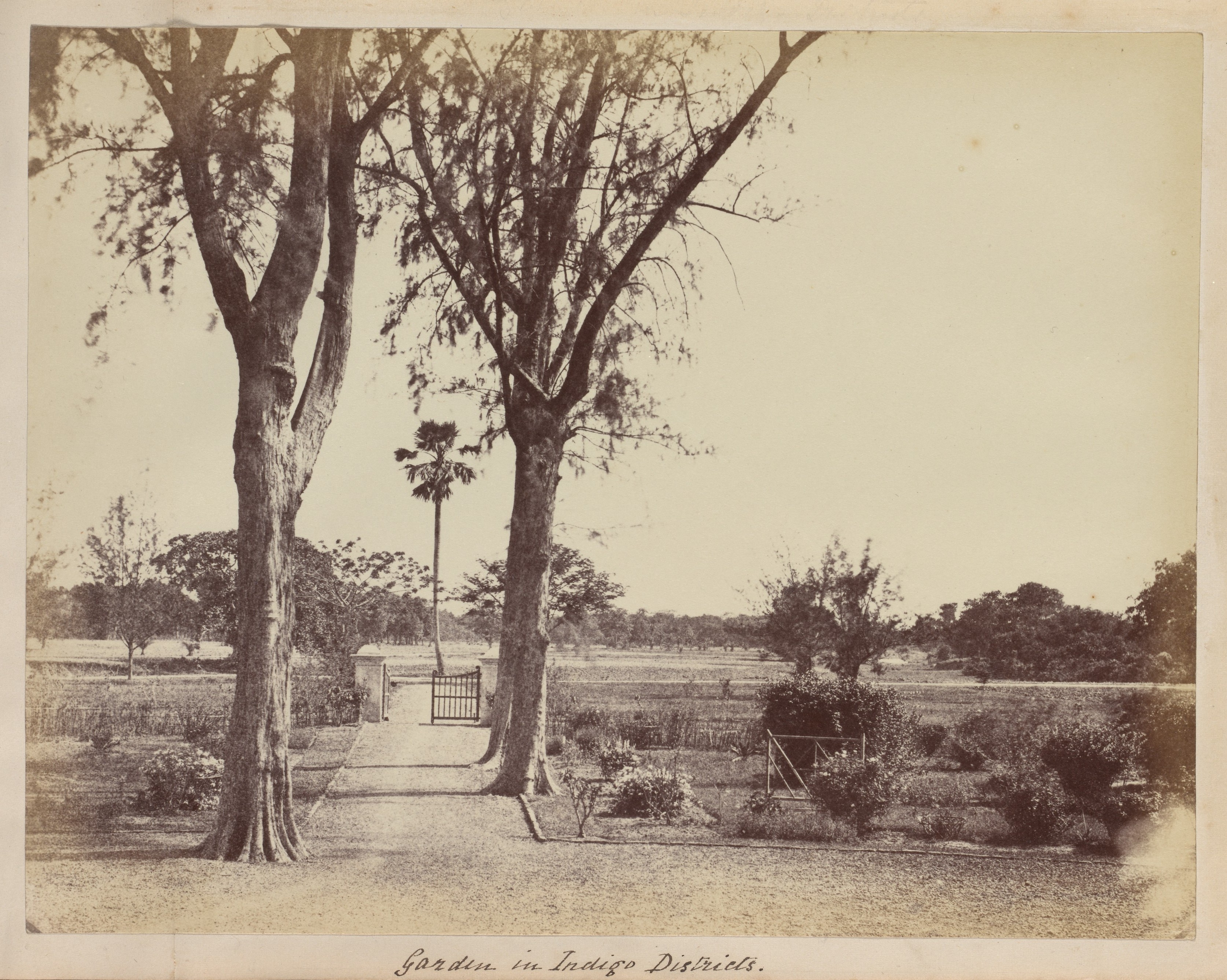 Garden in Indigo Districts