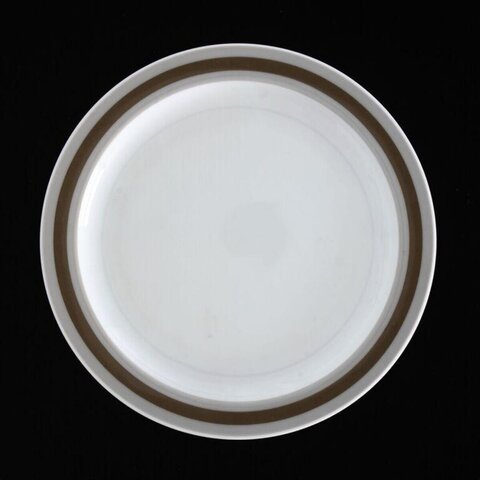 Brown Stripe White Dinner Plate
