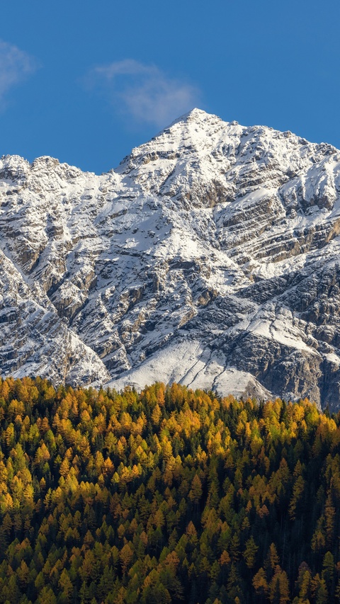 Snow-capped Mountain over Autumn Forest