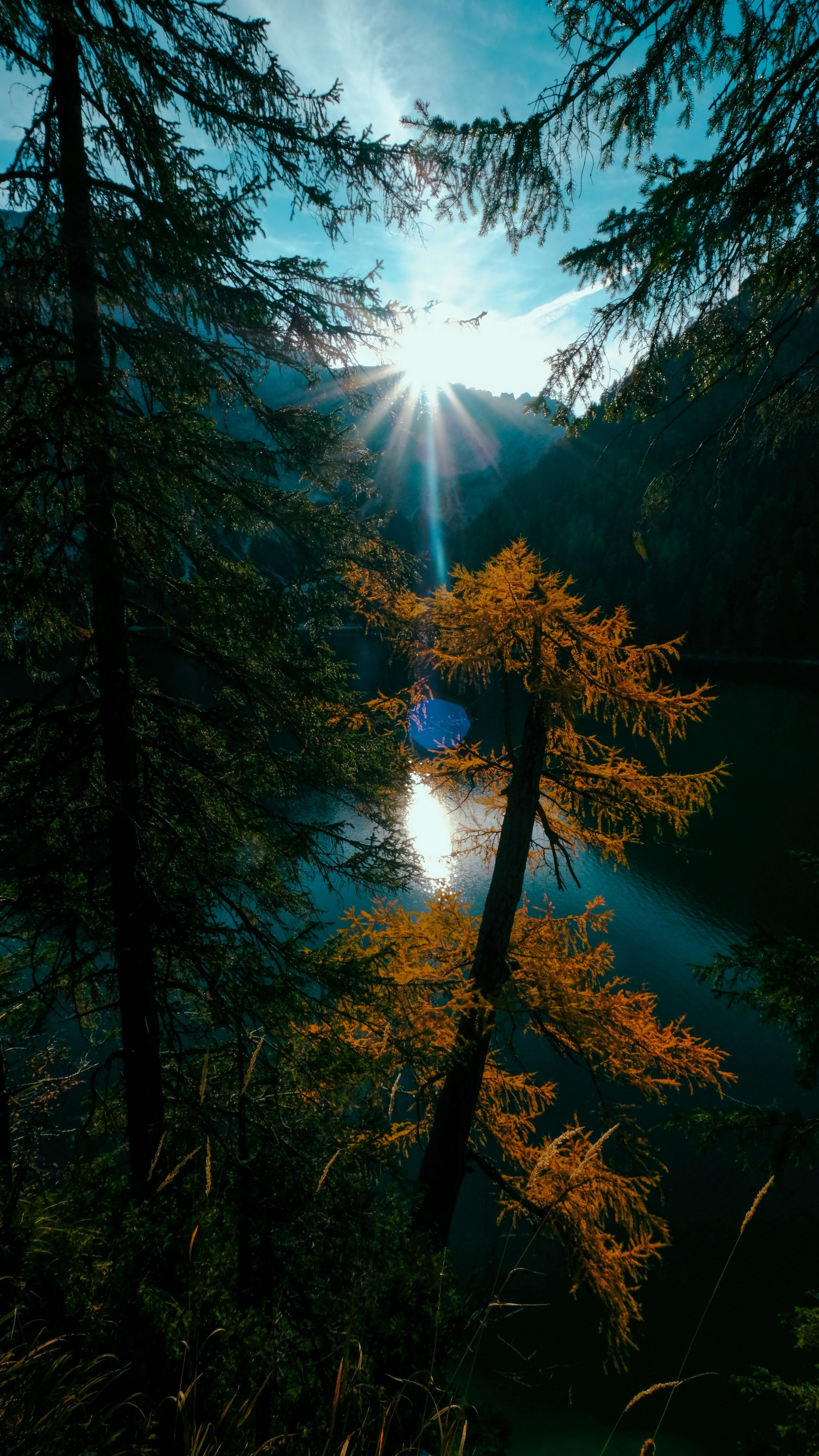Wallpapers