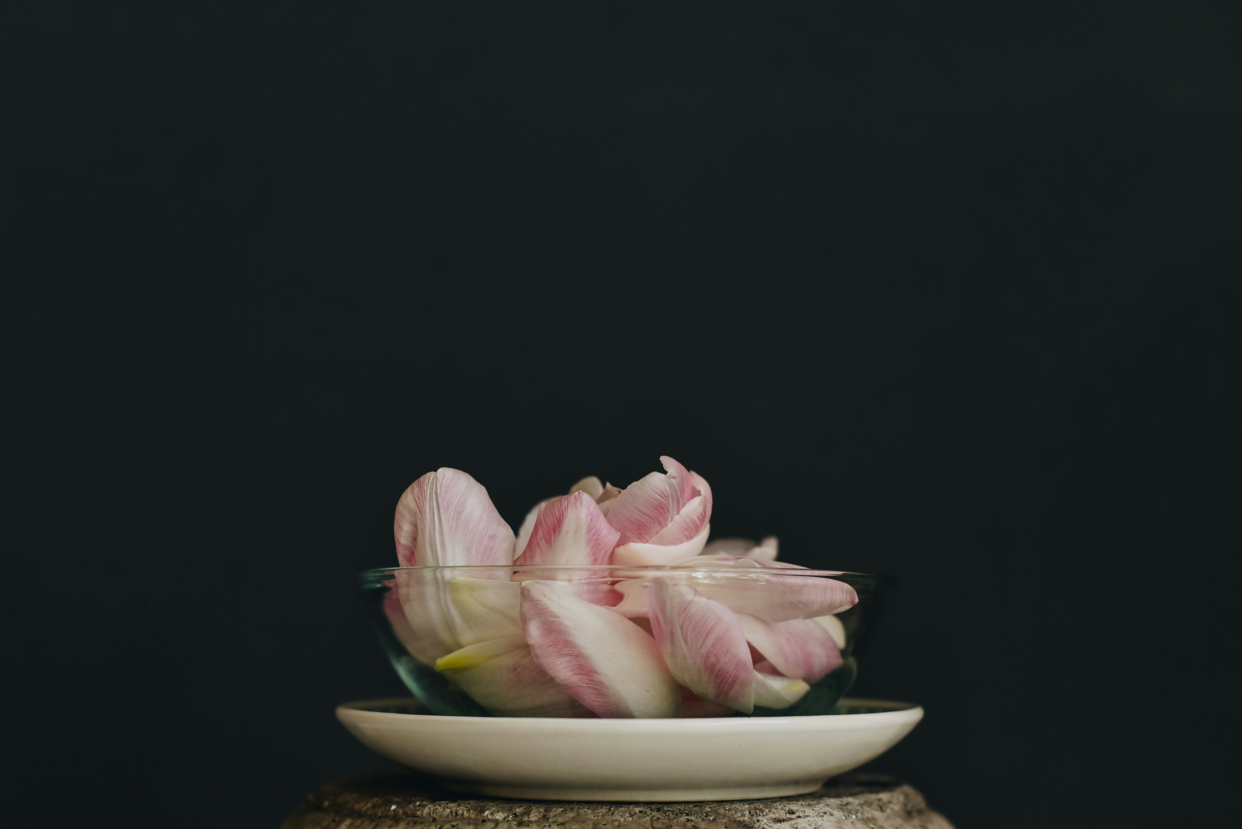 Pink Tulip Petals in Glass Bowl