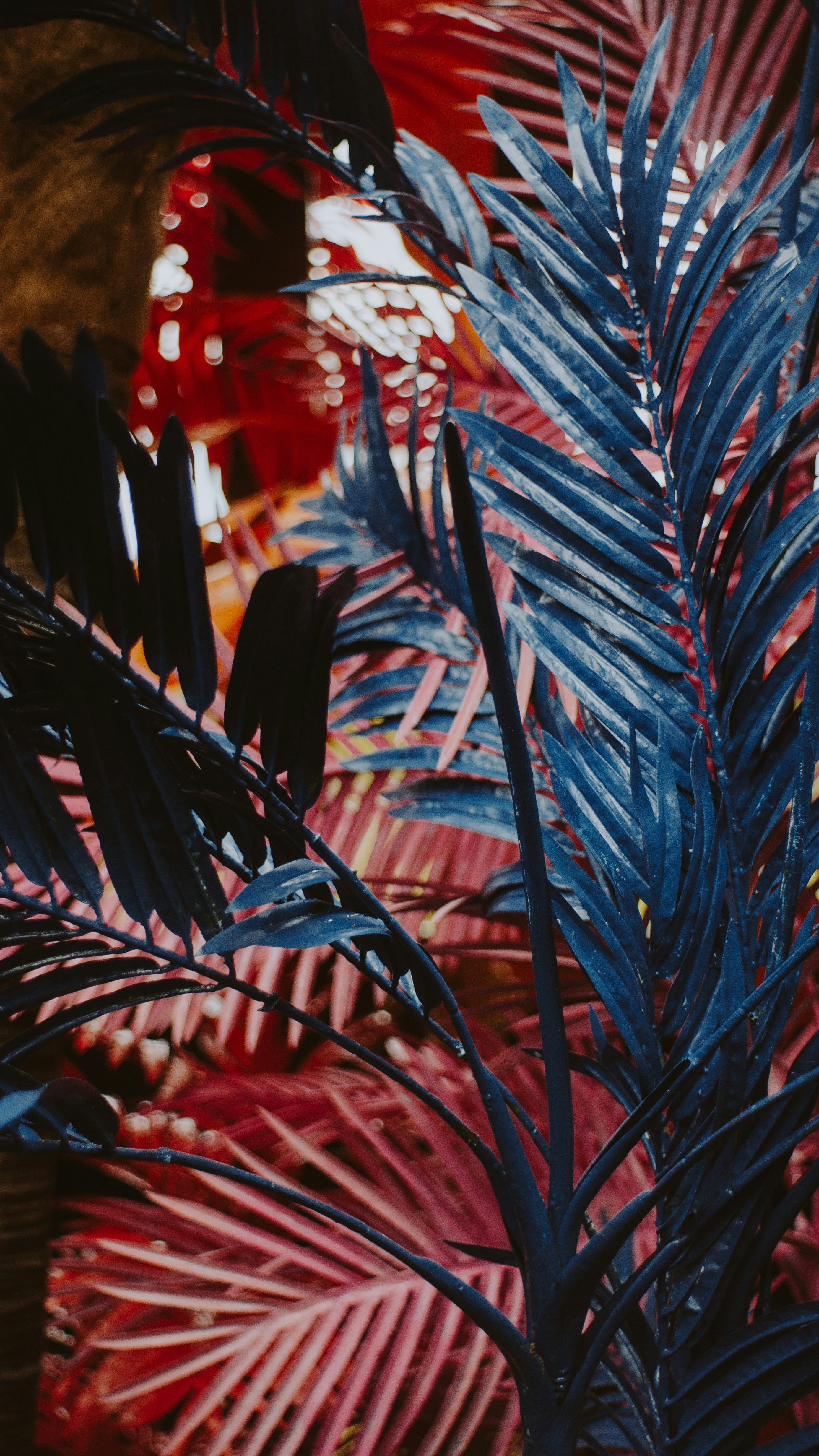 Wallpapers