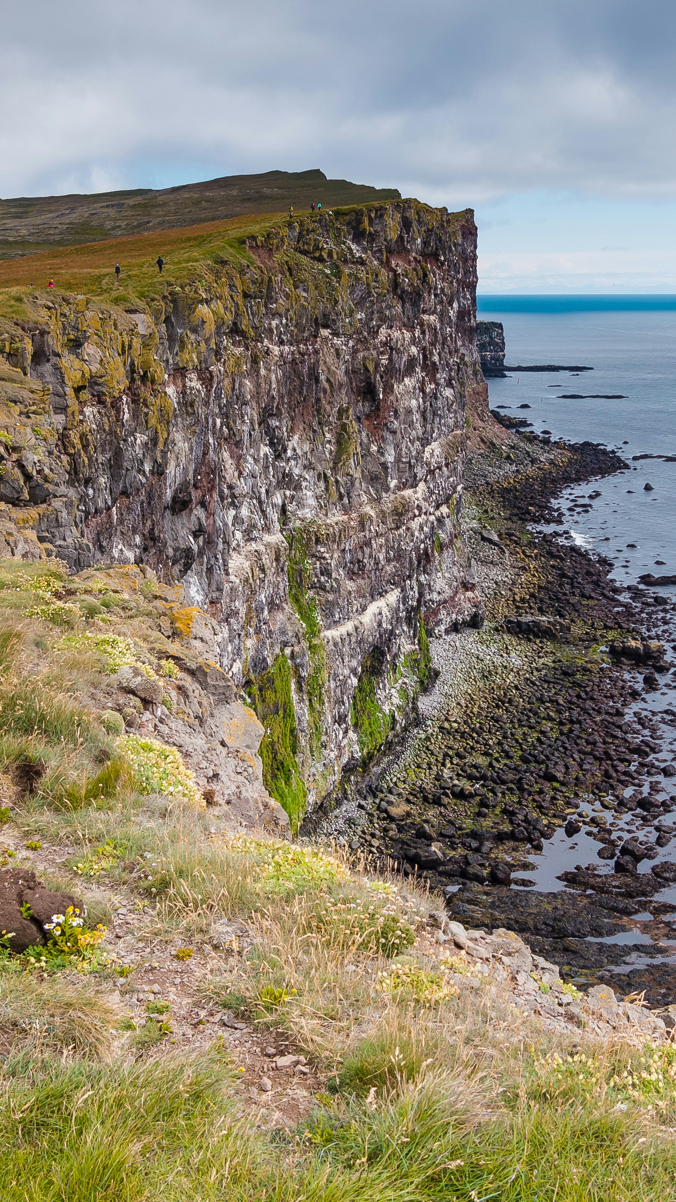 Image 1570643 — Nature
