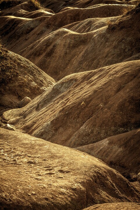 Sunlit Red Soil Ridges
