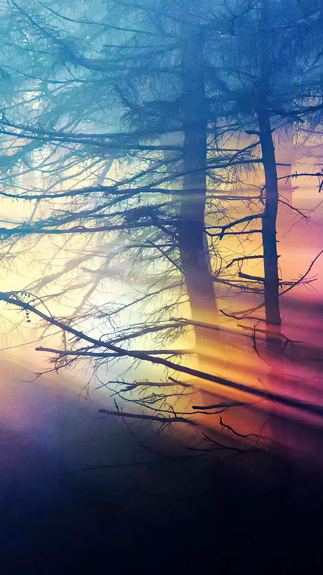 Wallpapers