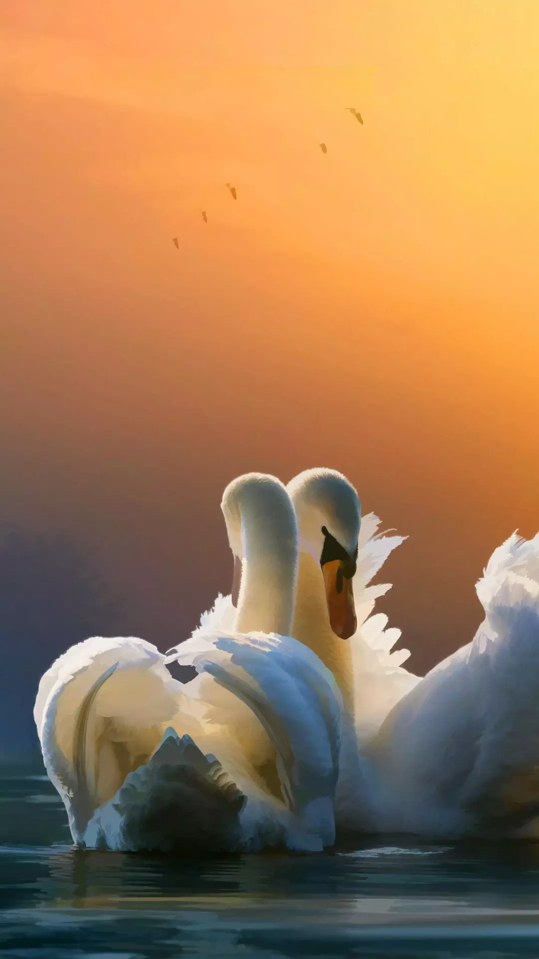 Wallpapers