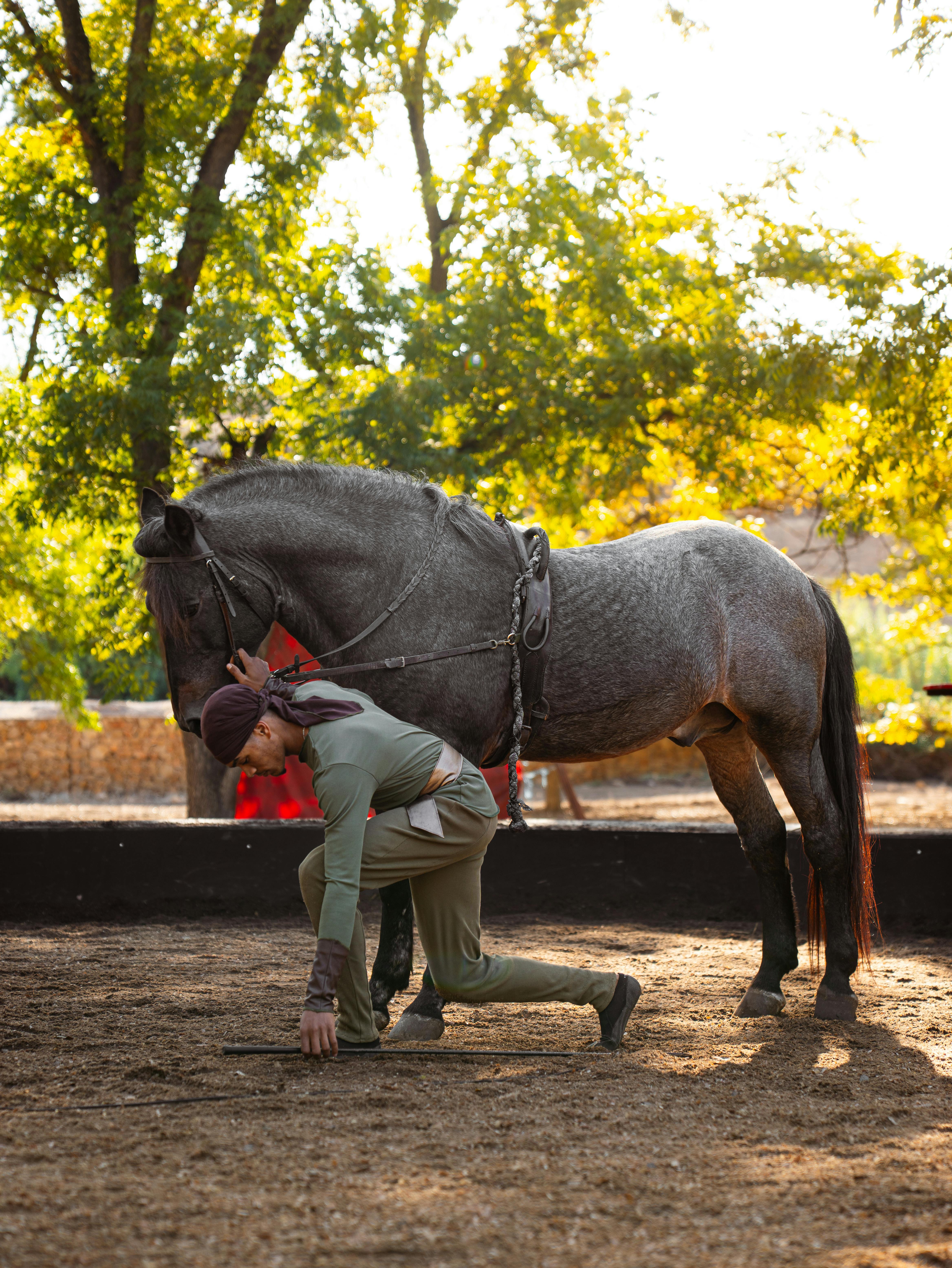 Man Kneeling Beside Gray Horse